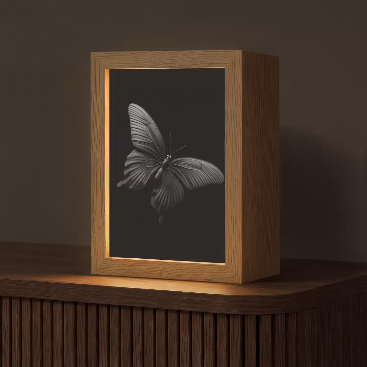 Vlinder - Zwart - Insect - Dieren Light Box met kabel (Tafellamp) klein -z3d_website
