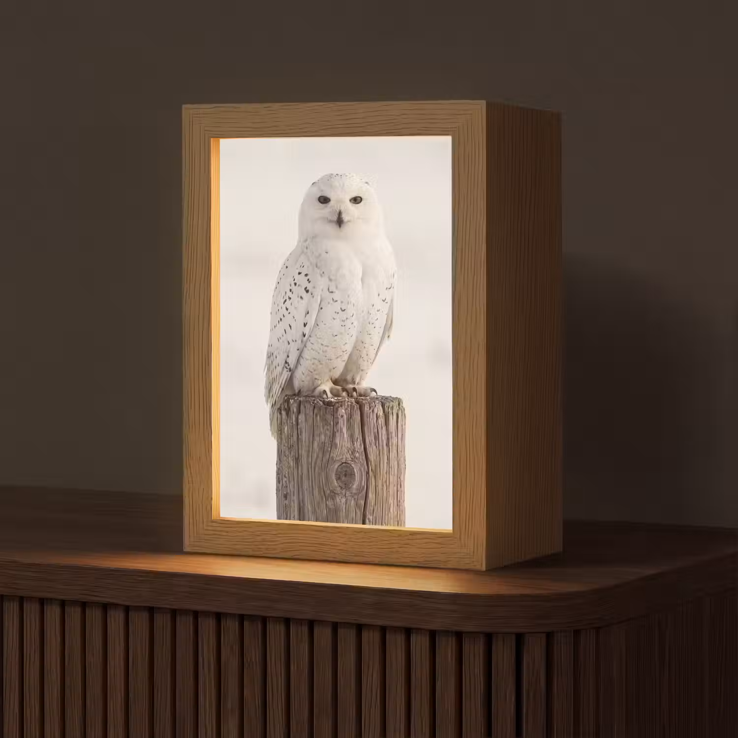 Sneeuwuil - Paal - Winter - Portret - Majestueus Light Box met kabel (Tafellamp) klein -z3d_website