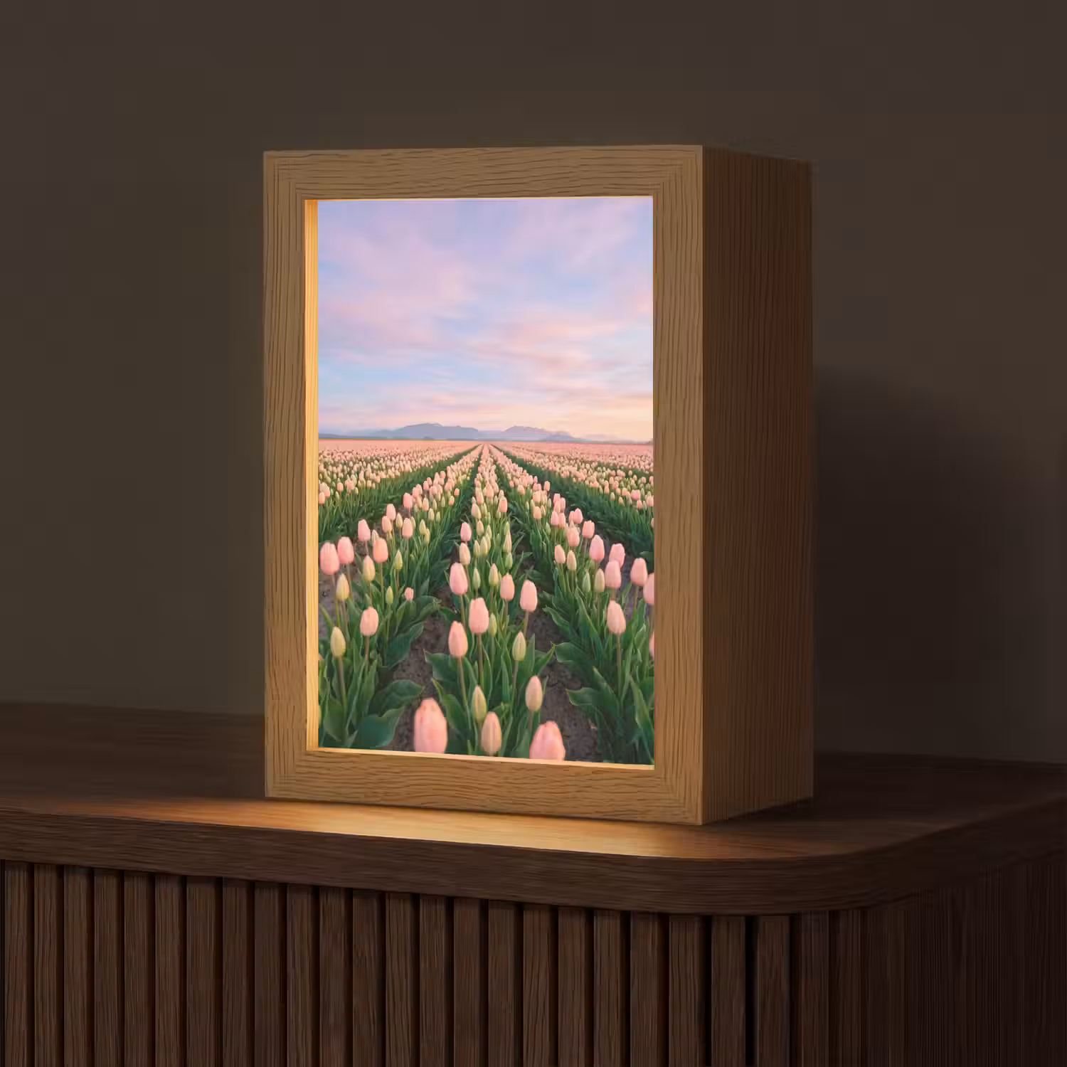 Tulpen - Landschap - Roze Light Box met kabel (Tafellamp) klein -z3d_website