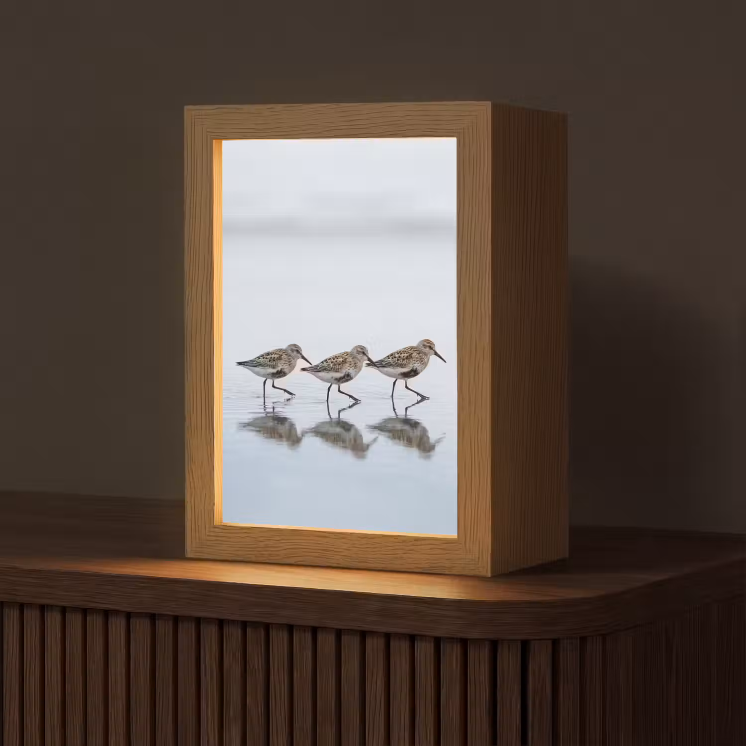 Vogels - Water - Grijs Light Box met kabel (Tafellamp) klein -z3d_website