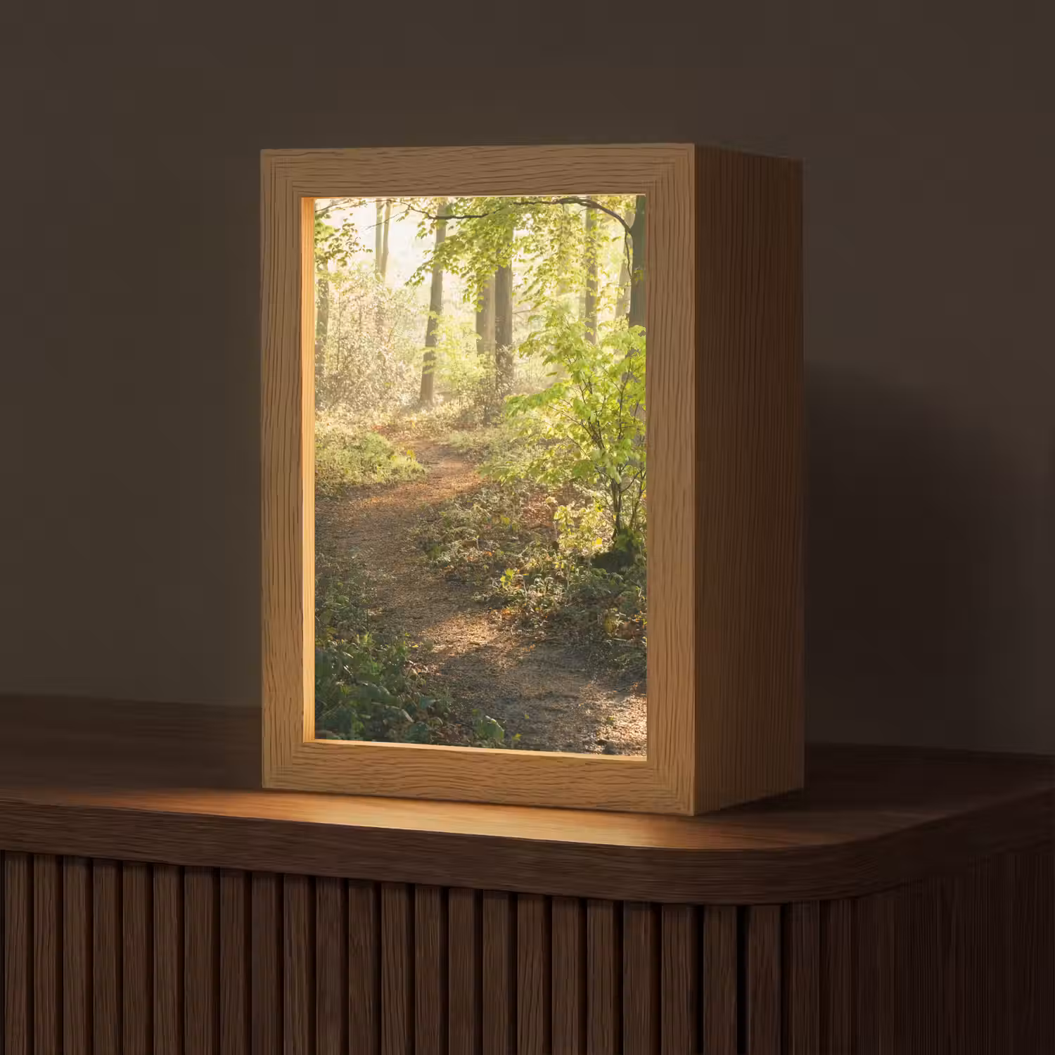 Bos - Bomen - Pad - Zon - Planten - Bladeren - Natuur Light Box met kabel (Tafellamp) klein -z3d_website