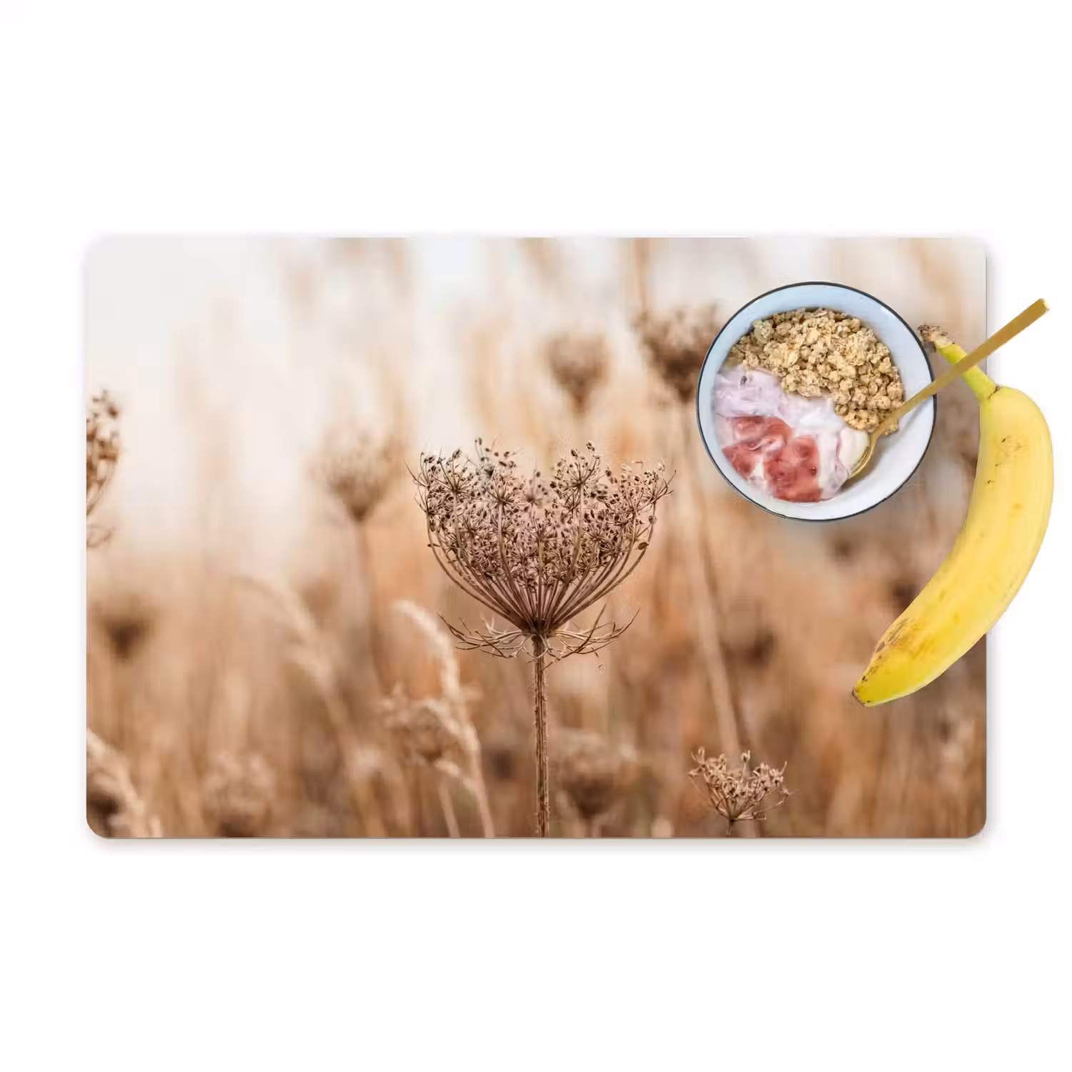 Schermbloem - Droogbloem - Winter - Beige - Minimalistisch Placemat vinyl groot -zzzproduct_Kitchenyeah-website