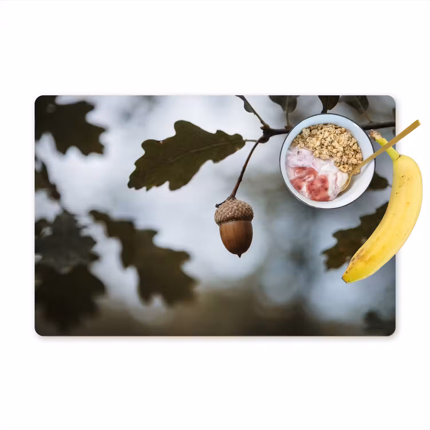 Eikel - Eikenblad - Bos - Herfst - Natuur Placemat vinyl groot -zzzproduct_Kitchenyeah-website