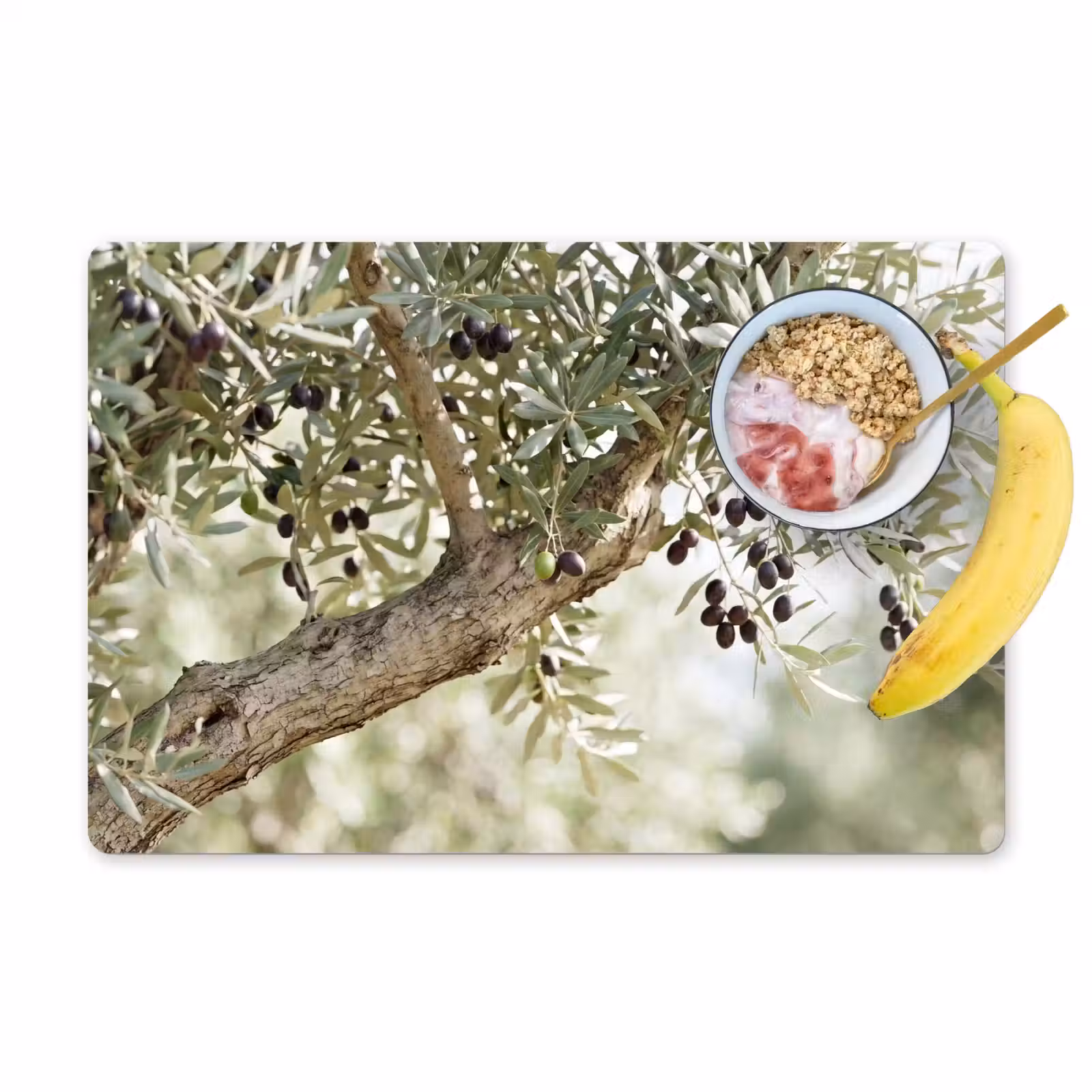 Tischset - 6 Stück - Olivenbaum – Zweig – grün - Olijfboom - tak - groen Placemat vinyl groot