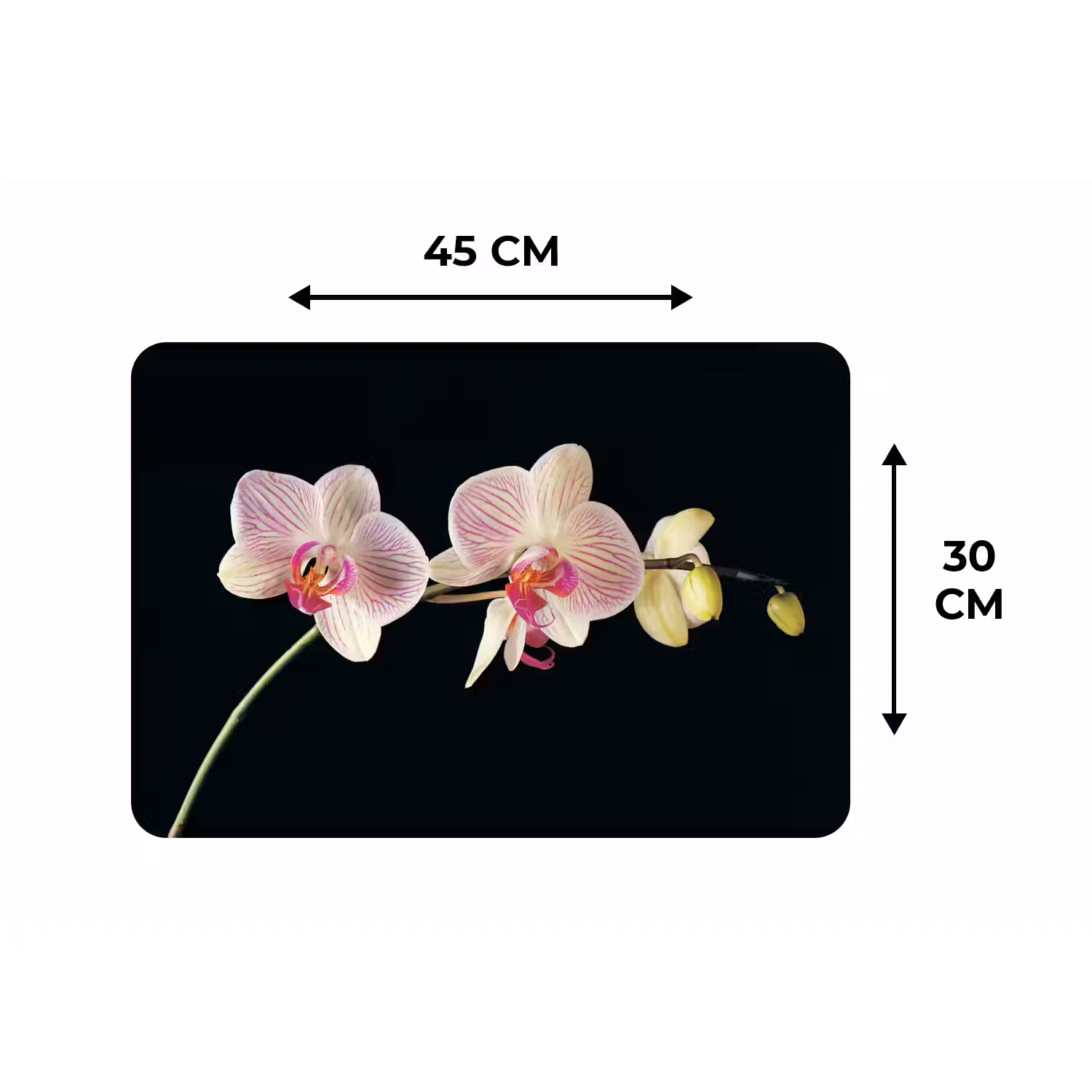 Orchidee - Bloemen - Zwart - Roze - Knoppen Placemat vinyl groot -specs