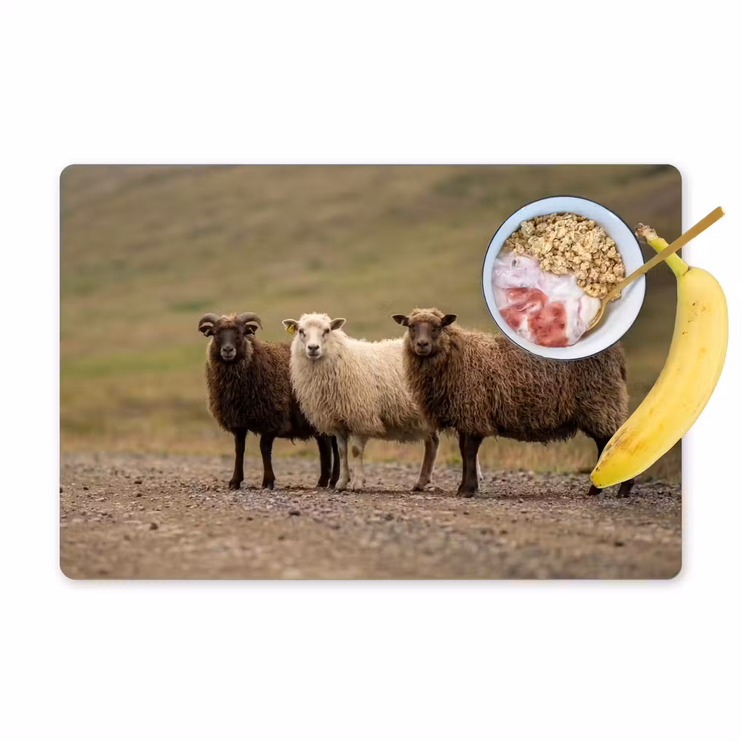 Schapen - Bruin - Wit - Grindpad Placemat vinyl groot -zzzproduct_Kitchenyeah-website