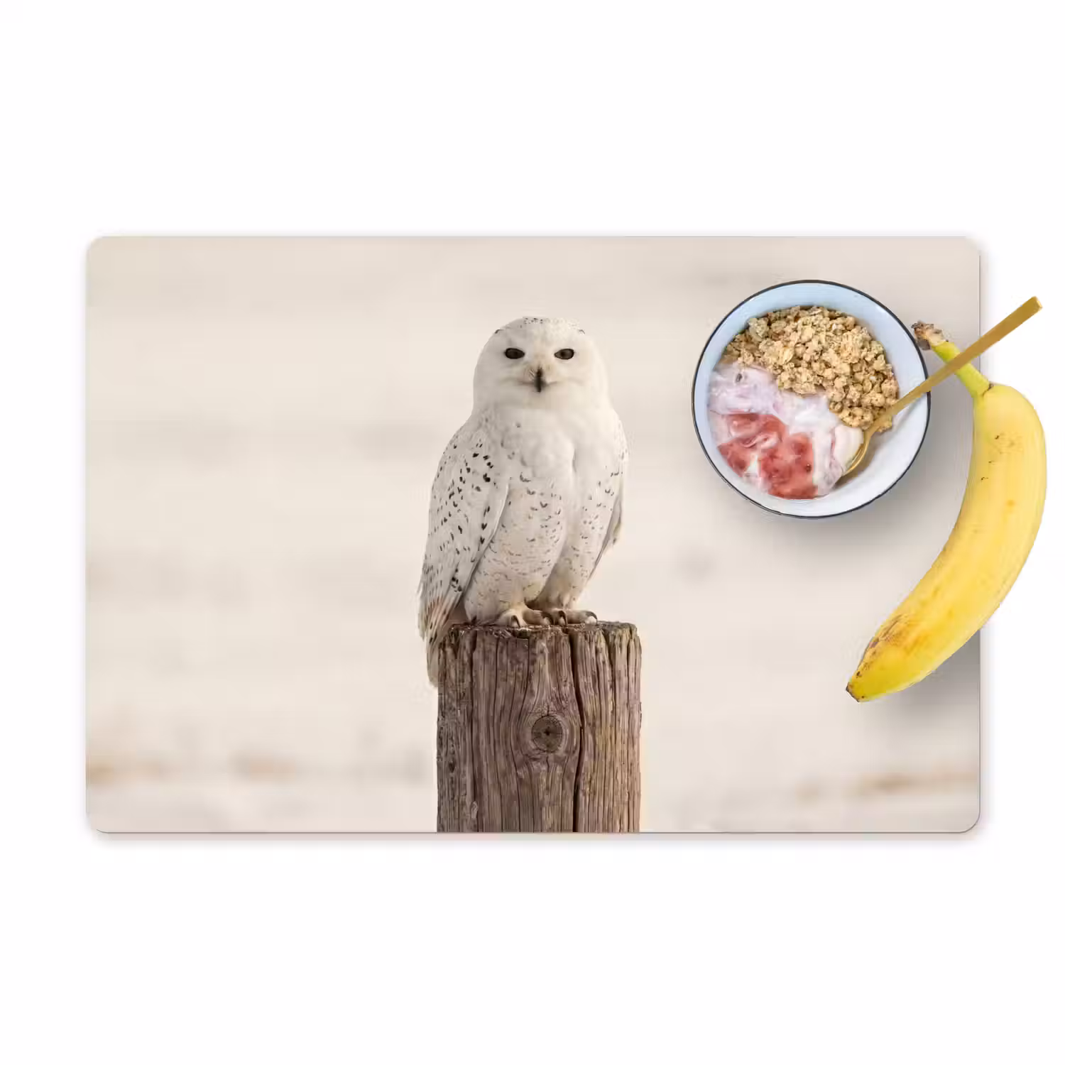 Sneeuwuil - Paal - Winter - Portret - Majestueus Placemat vinyl groot -zzzproduct_Kitchenyeah-website