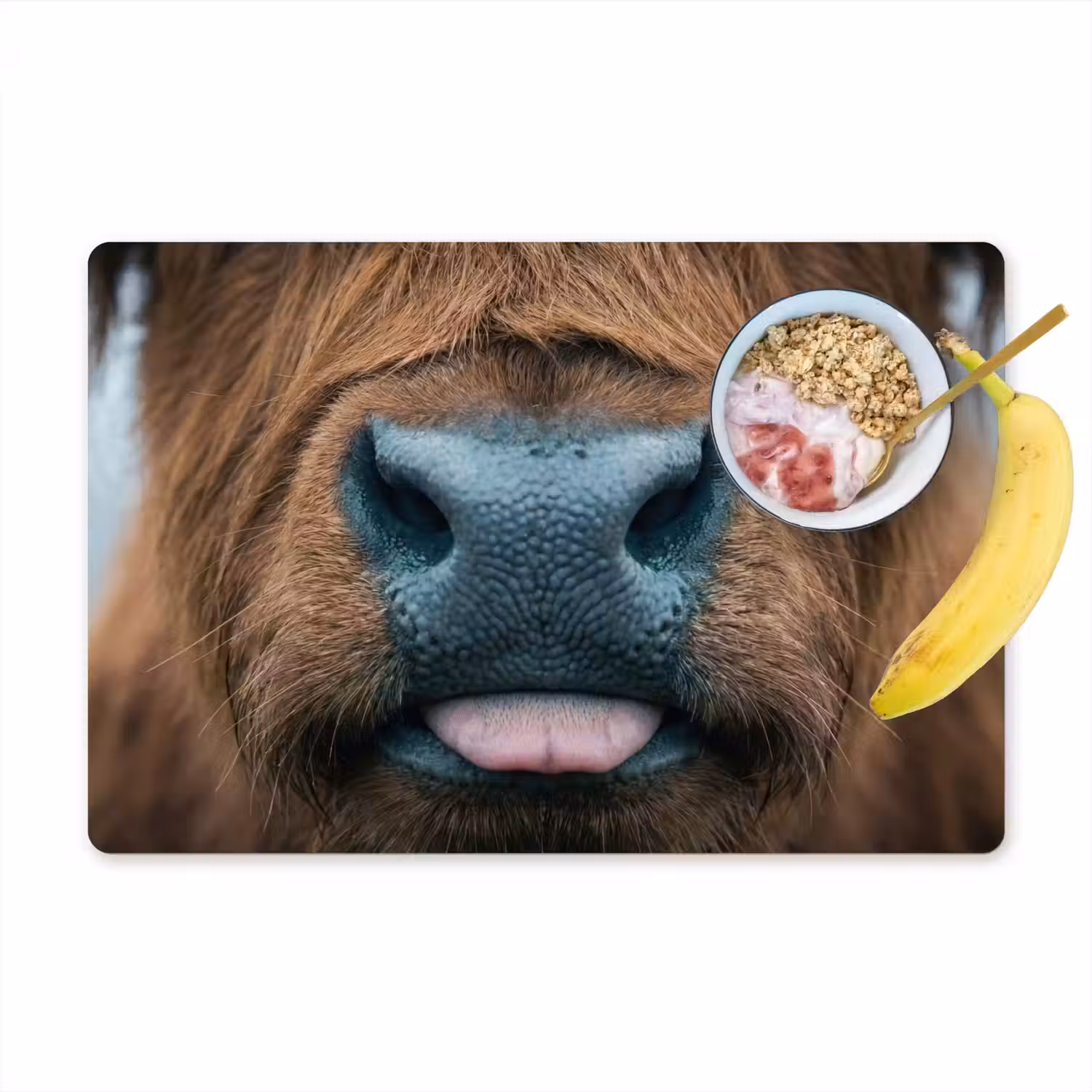 Schotse hooglander - Neus - Bruin Placemat vinyl groot -zzzproduct_Kitchenyeah-website