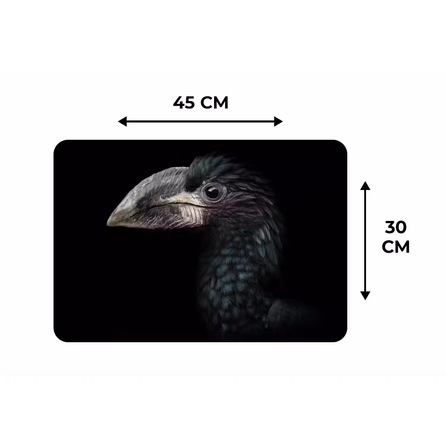 Vogel - Portret - Neushoornvogel - Zwart - Dieren Placemat vinyl groot -specs