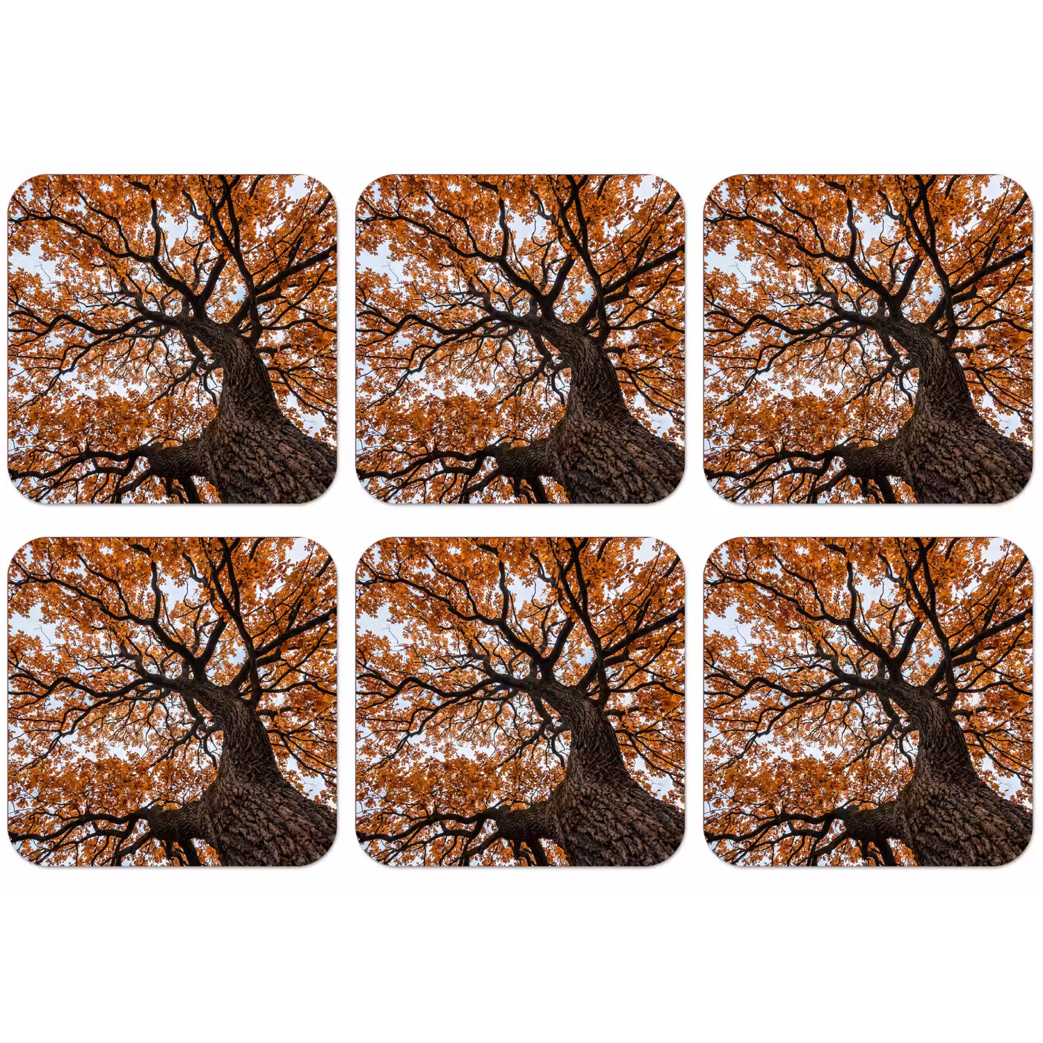 Boom - Bladerdak - Herfst - Oranje - Sfeervol onderzetter kurk middel -zkaufland3dotto