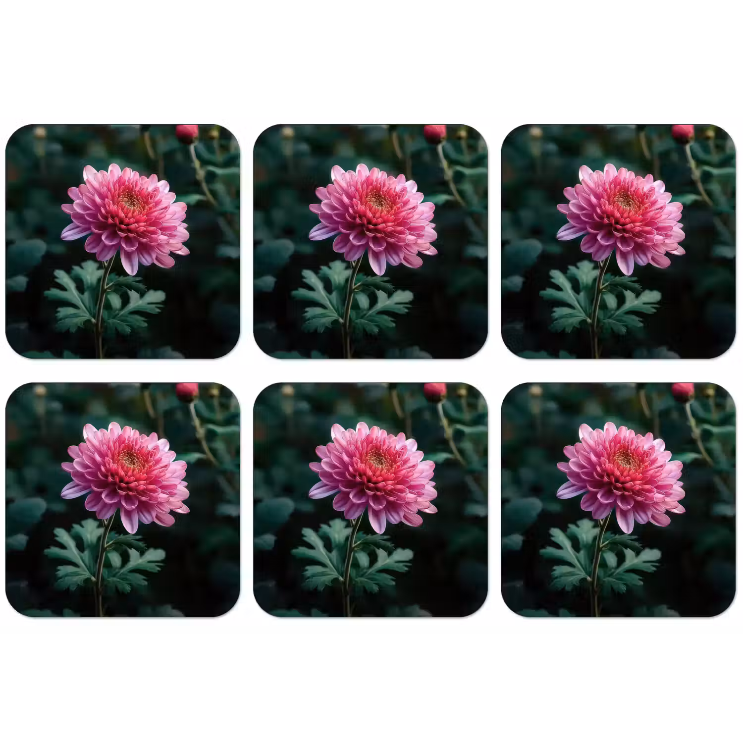 Blad - Chrysant - Roze - Schaduw onderzetter kurk middel -zkaufland3dotto