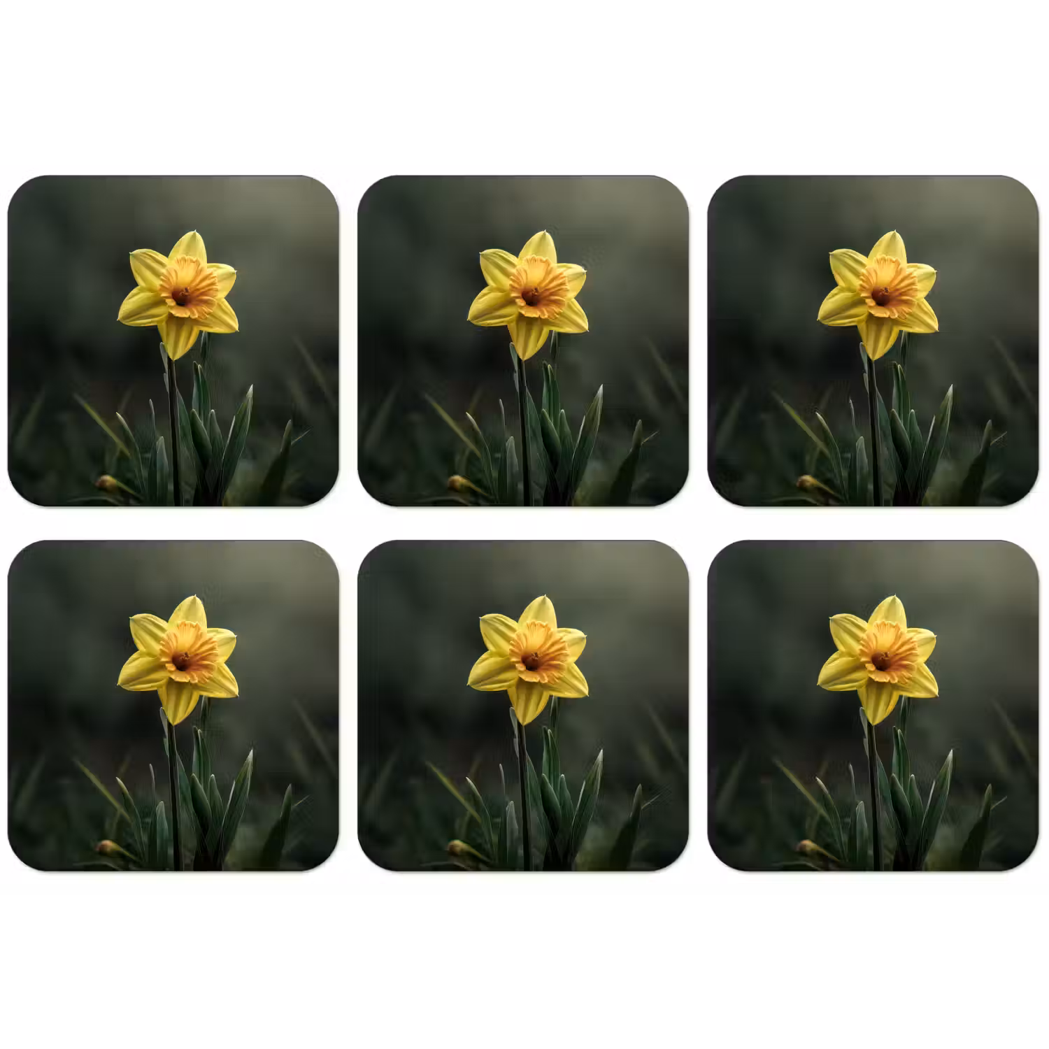 Bloem - Narcis - Gras - Geel onderzetter kurk middel -zkaufland3dotto