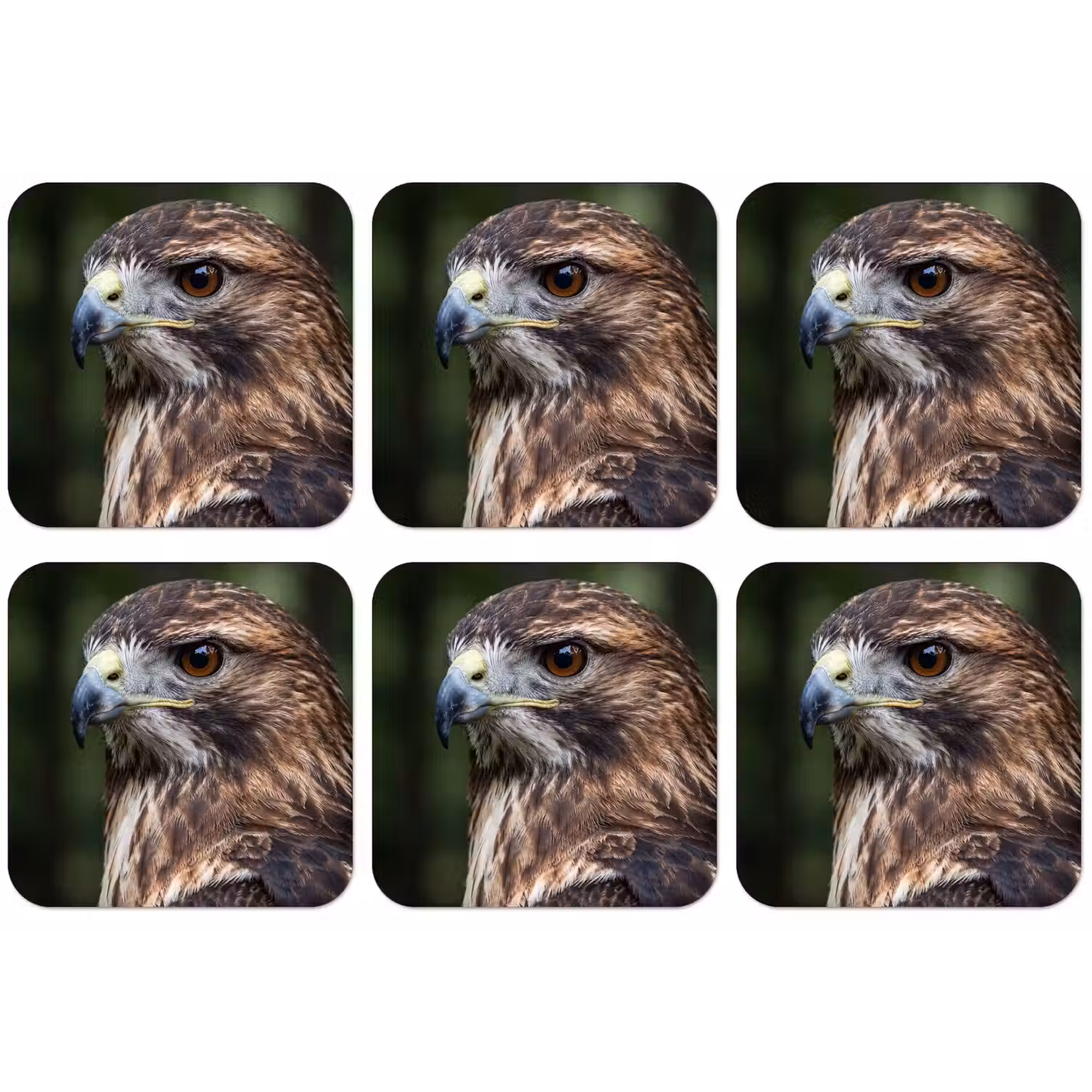 Buizerd - Roofvogel - Natuur - Bruin onderzetter kurk middel -zkaufland3dotto