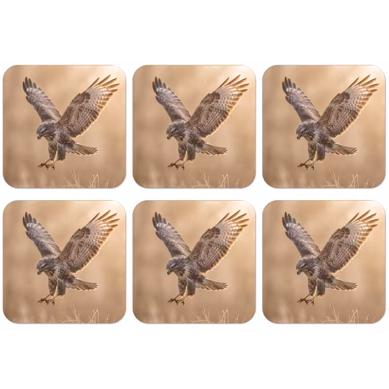 Buizerd - Roofvogel - Natuur - Bruin onderzetter kurk middel -zkaufland3dotto