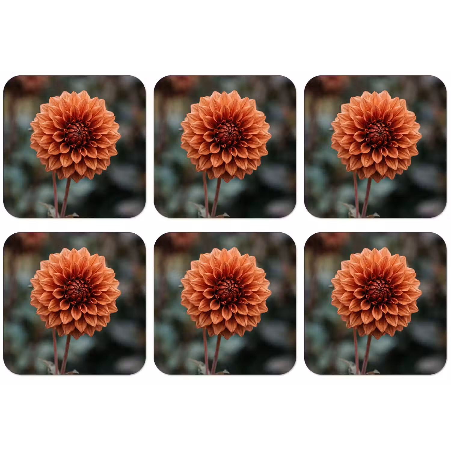 Dahlia - Bloem - Natuur - Sfeervol onderzetter kurk middel -zkaufland3dotto