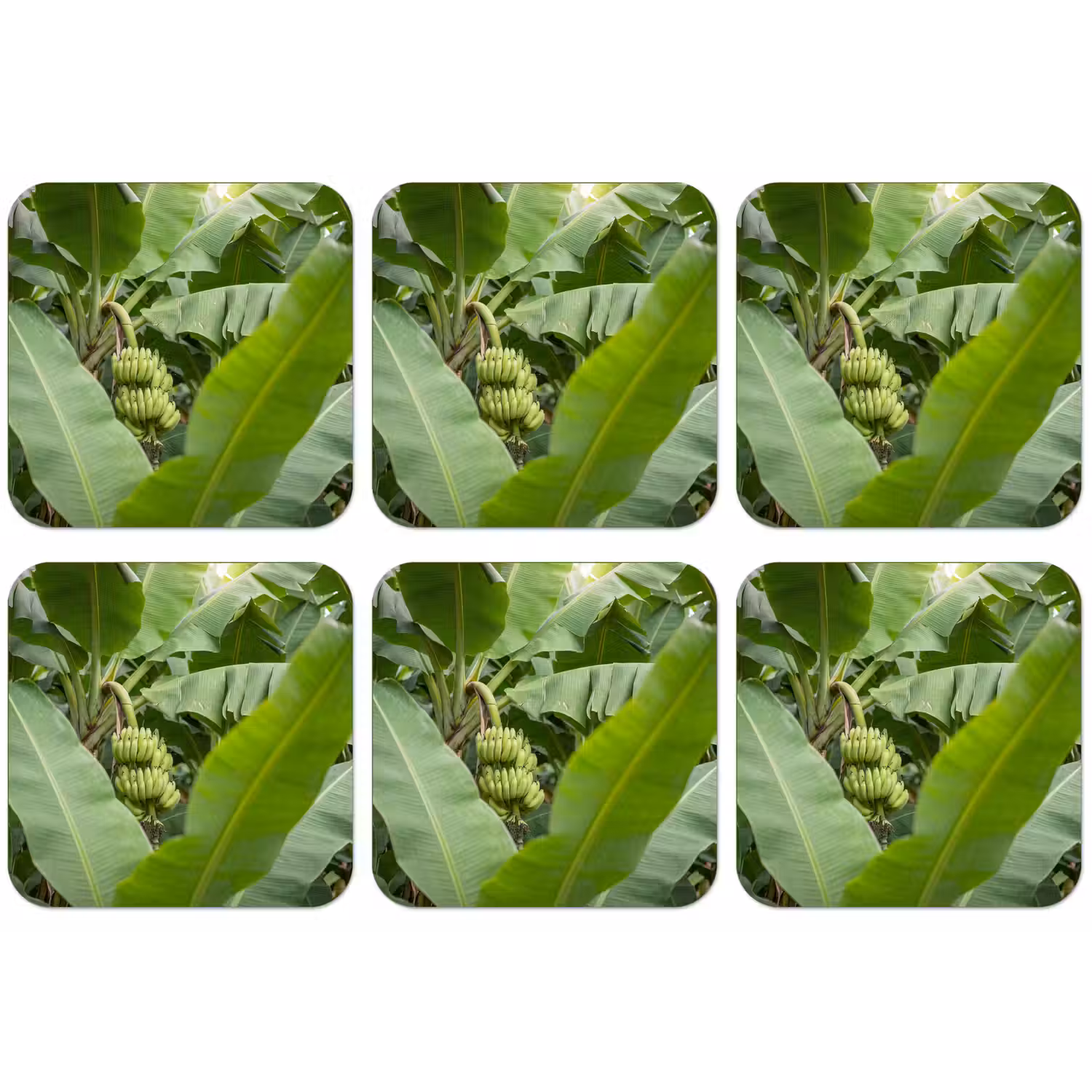 Eten - Bananen - Plantage - Groen onderzetter kurk middel -zkaufland3dotto