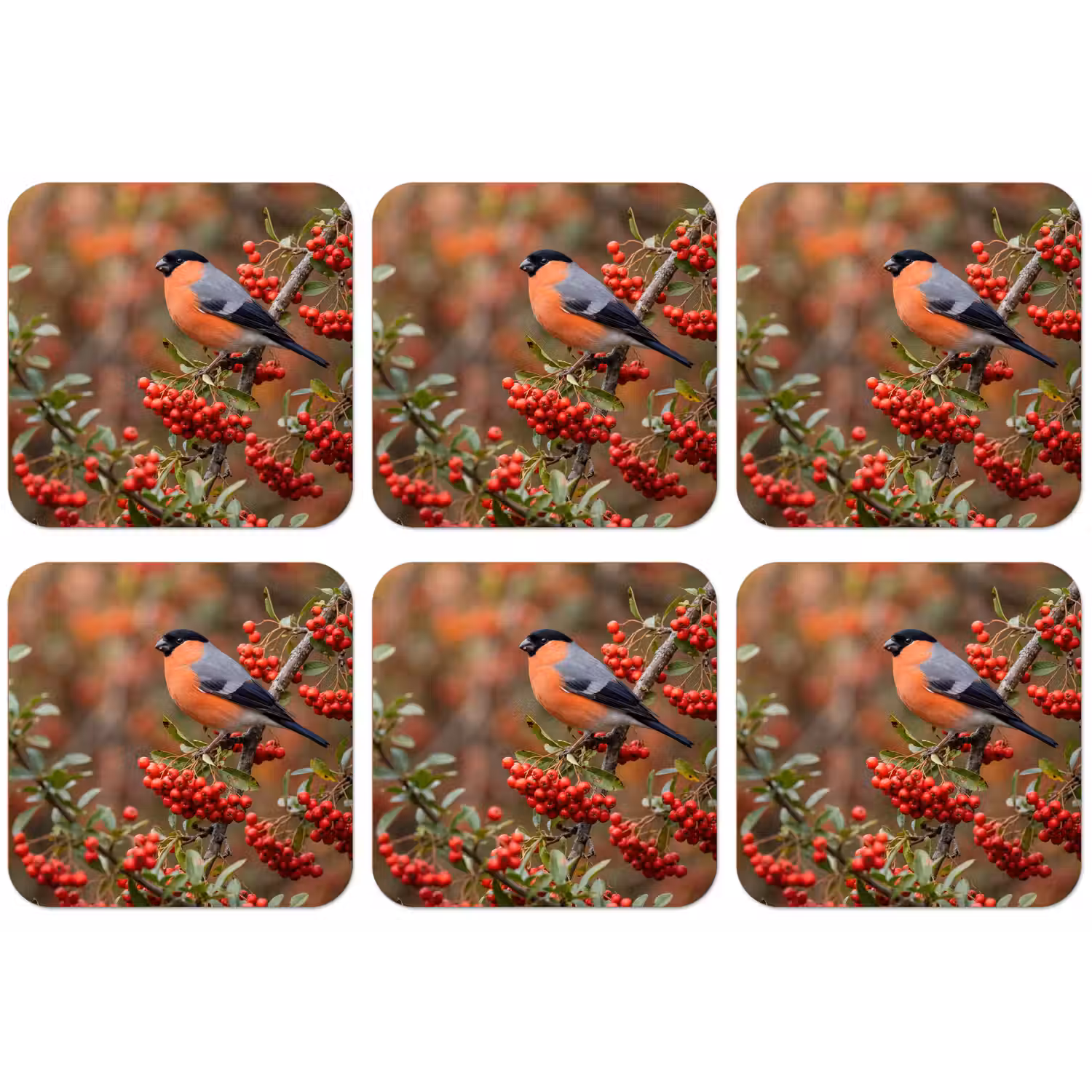 Goudvink - Bessen - Herfst - Natuur - Kleurrijk onderzetter kurk middel -zkaufland3dotto