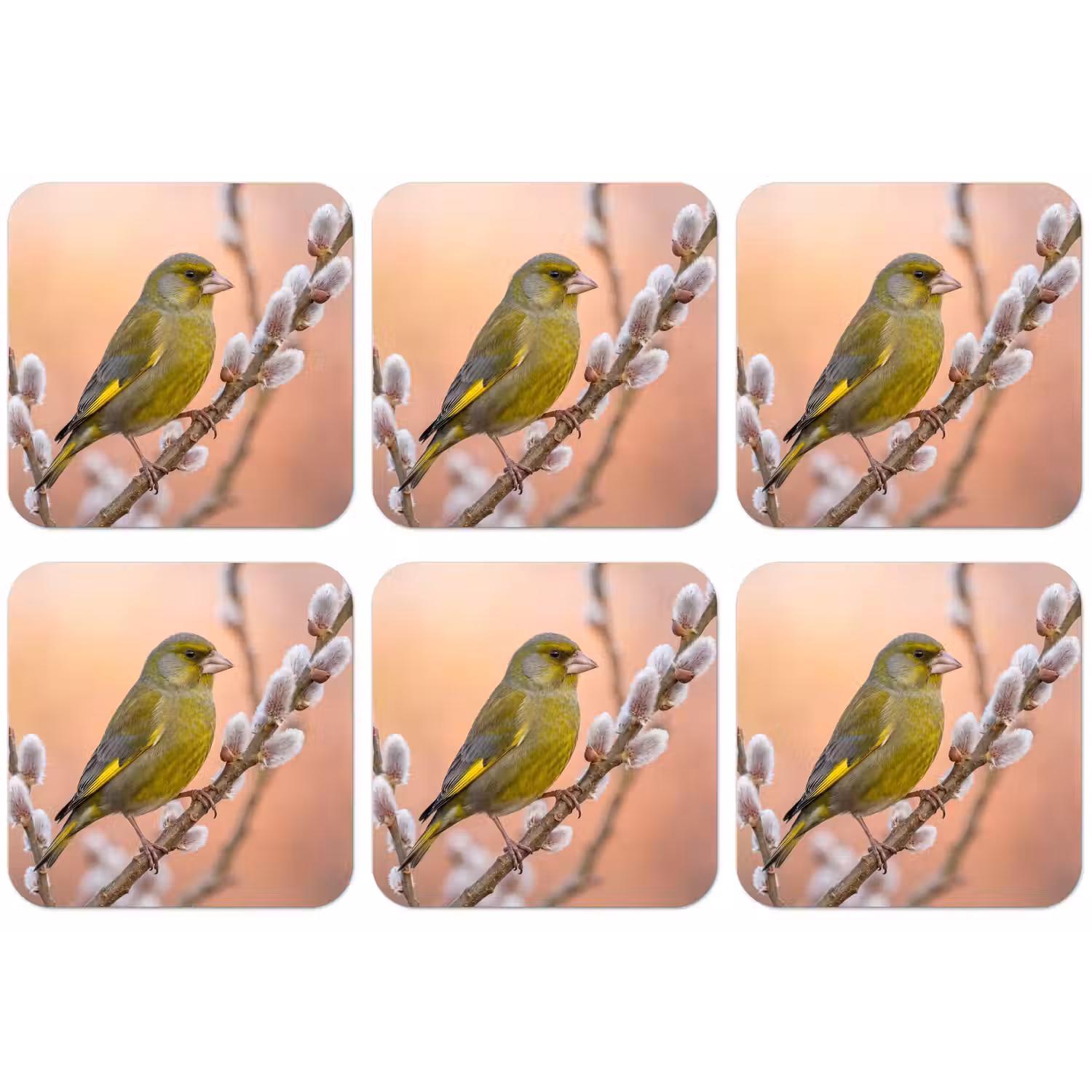 Groenling - Katjes - Lente - Natuur - Zacht onderzetter kurk middel -zkaufland3dotto