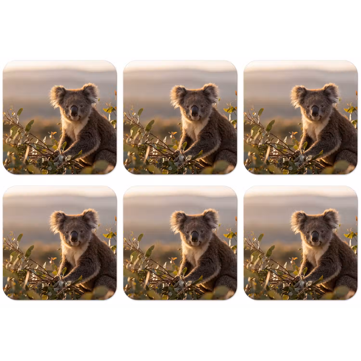 Koala - Bladeren - Ochtendlicht onderzetter kurk middel -zkaufland3dotto