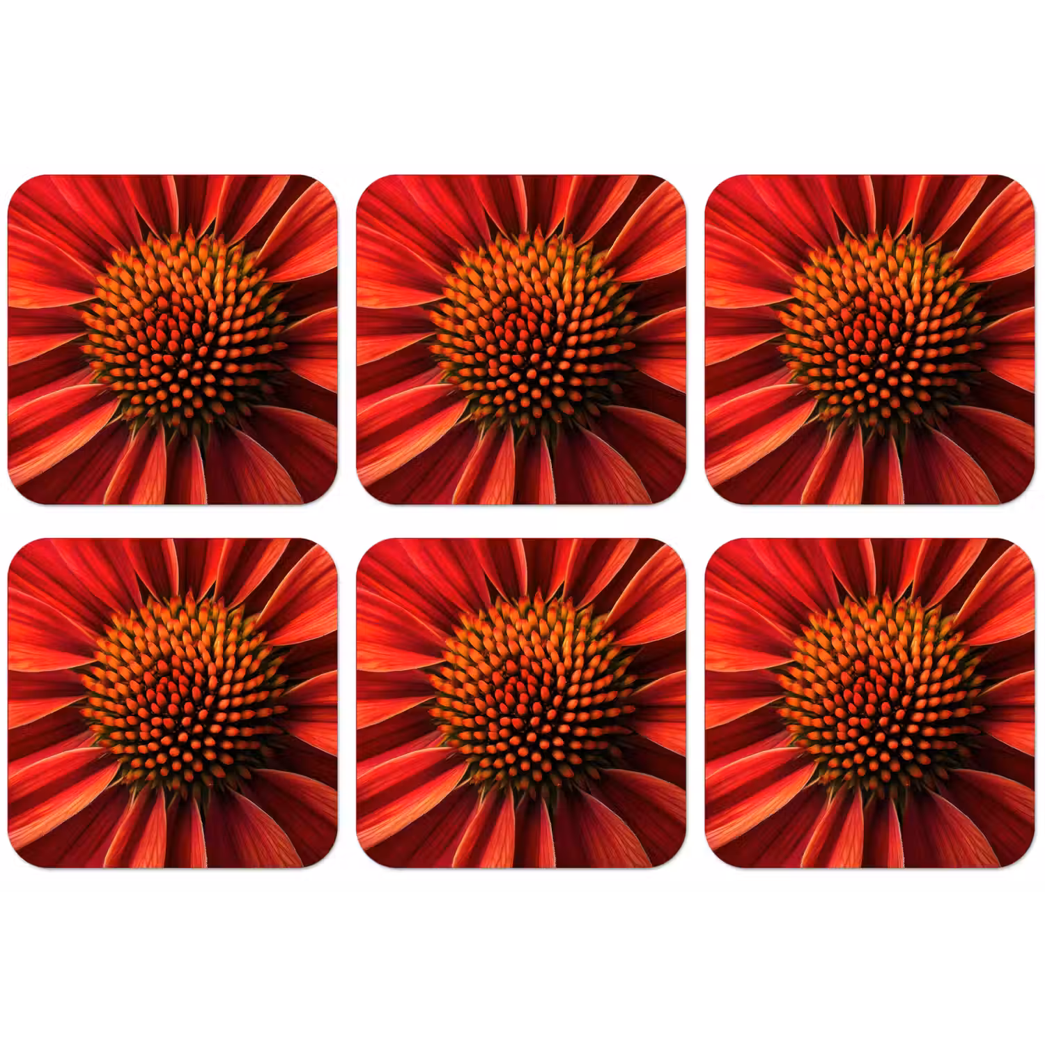 Close up - Bloem- Rood onderzetter kurk middel -zkaufland3dotto