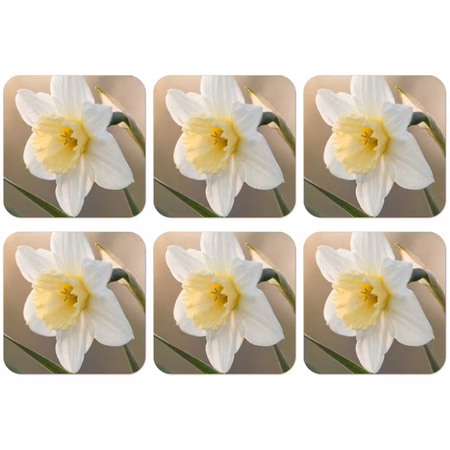Narcis - Bloem - Minimalistisch onderzetter kurk middel -zkaufland3dotto