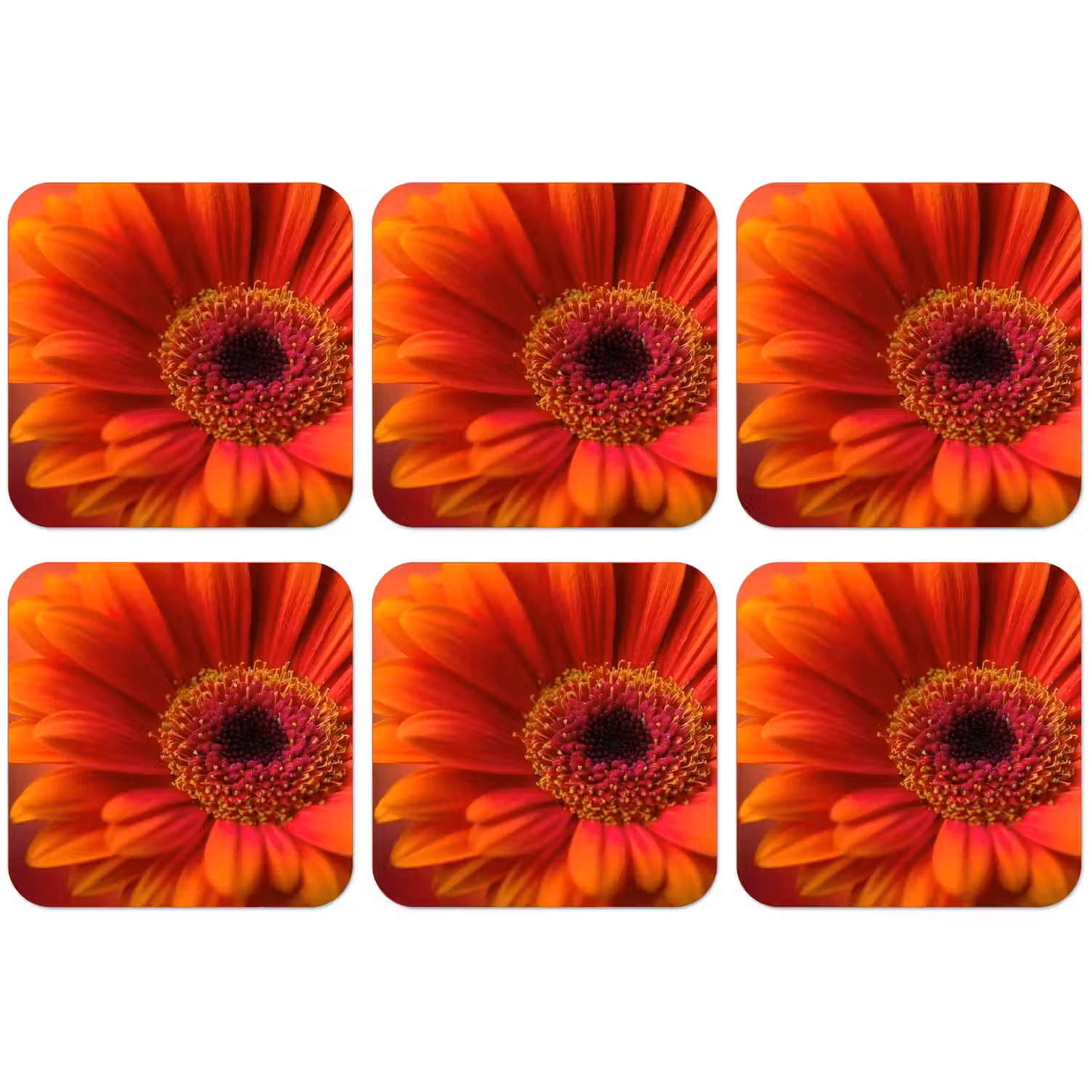 Oranje - Gerbera - Intens onderzetter kurk middel -zkaufland3dotto
