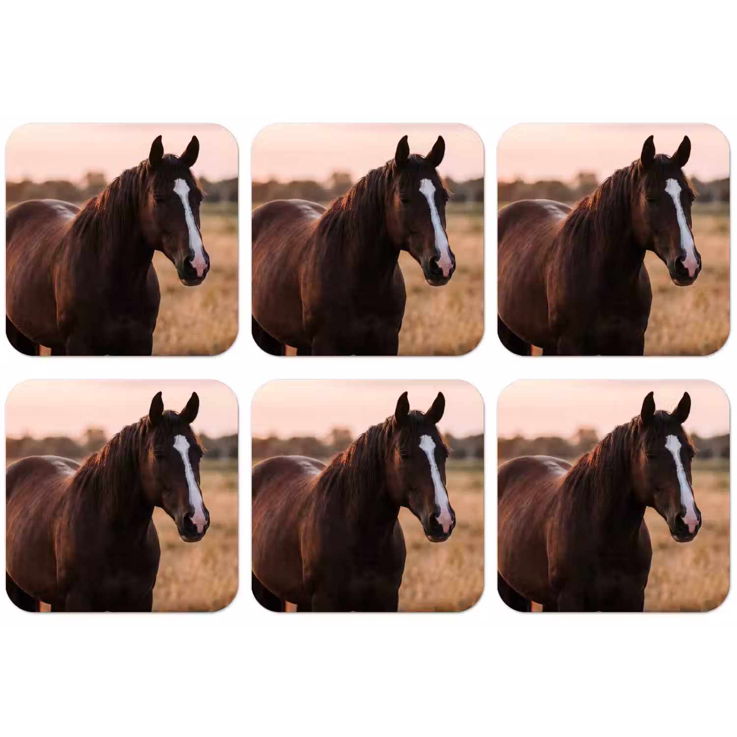 Paard - Zonsondergang - Bruin onderzetter kurk middel -zkaufland3dotto