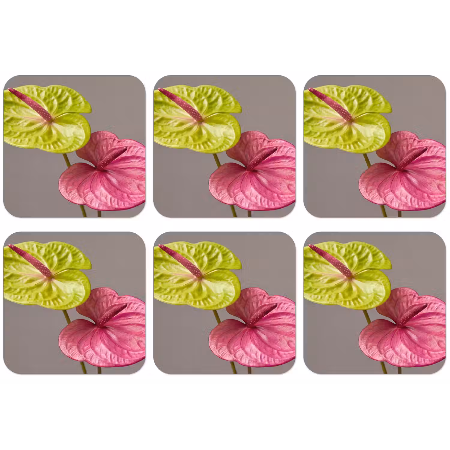 Planten - Anthurium - Groen - Roze onderzetter kurk middel -zkaufland3dotto