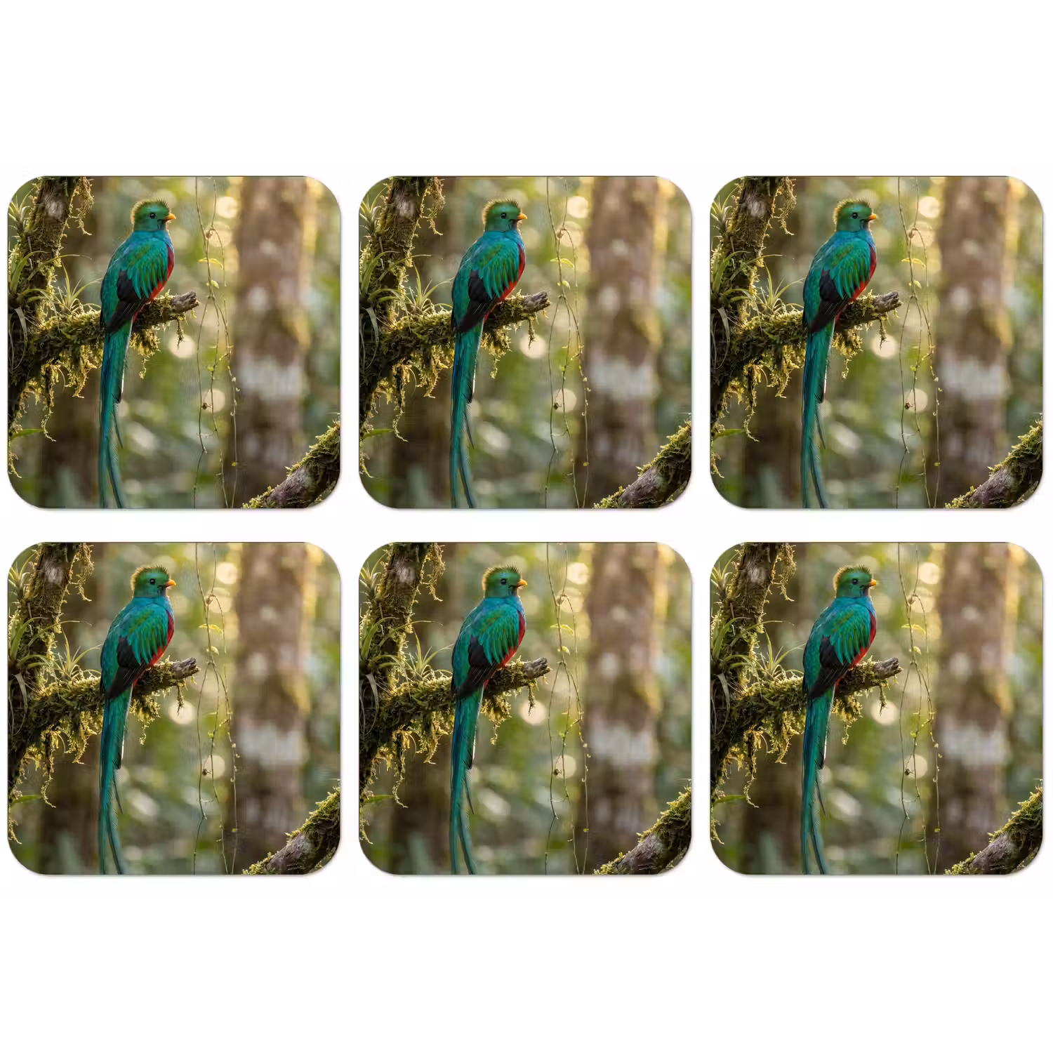 Quetzal - Jungle - Natuur - Groen onderzetter kurk middel -zkaufland3dotto