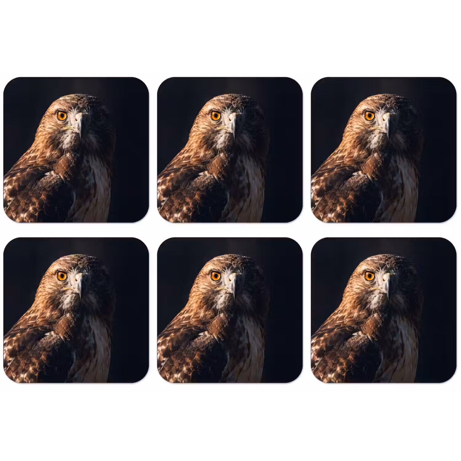 Roofvogel - Buizerd - Bruin onderzetter kurk middel -zkaufland3dotto