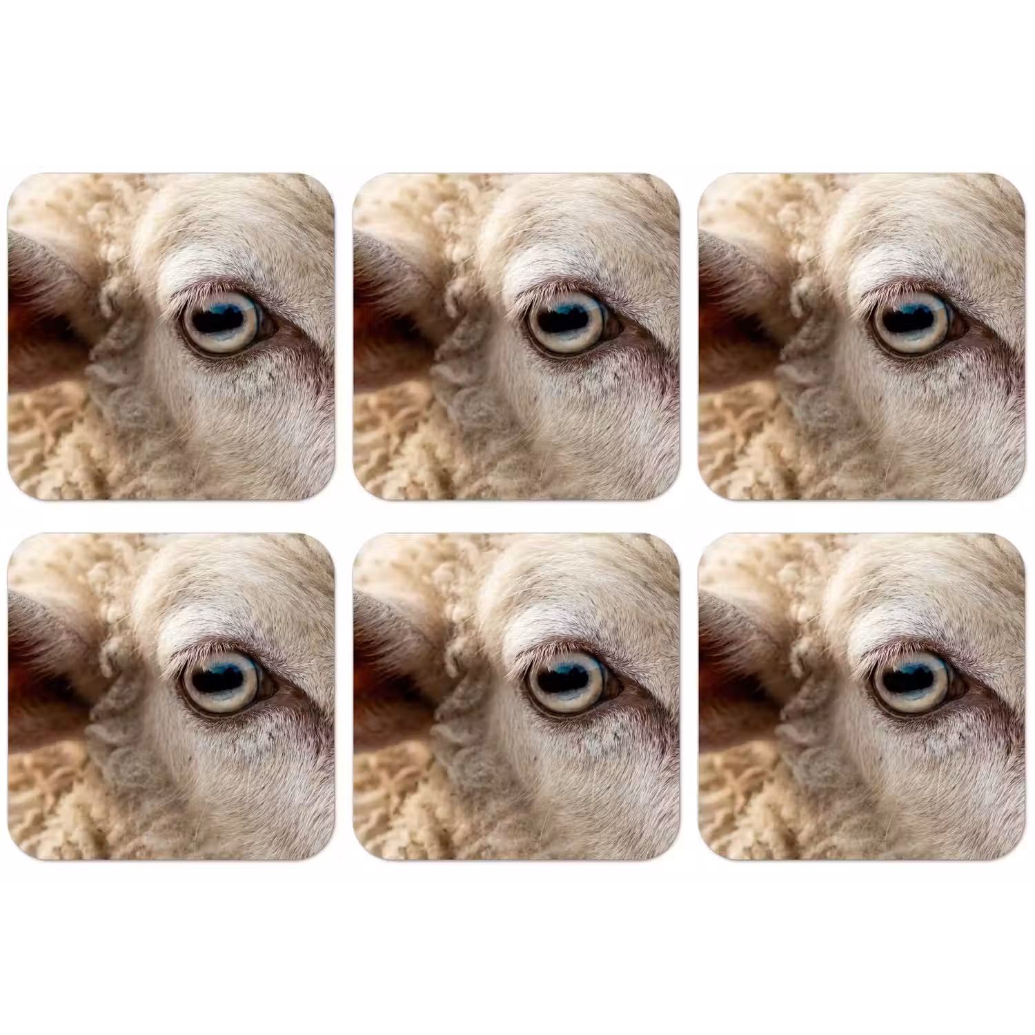 Schaap - Oog - Wit onderzetter kurk middel -zkaufland3dotto