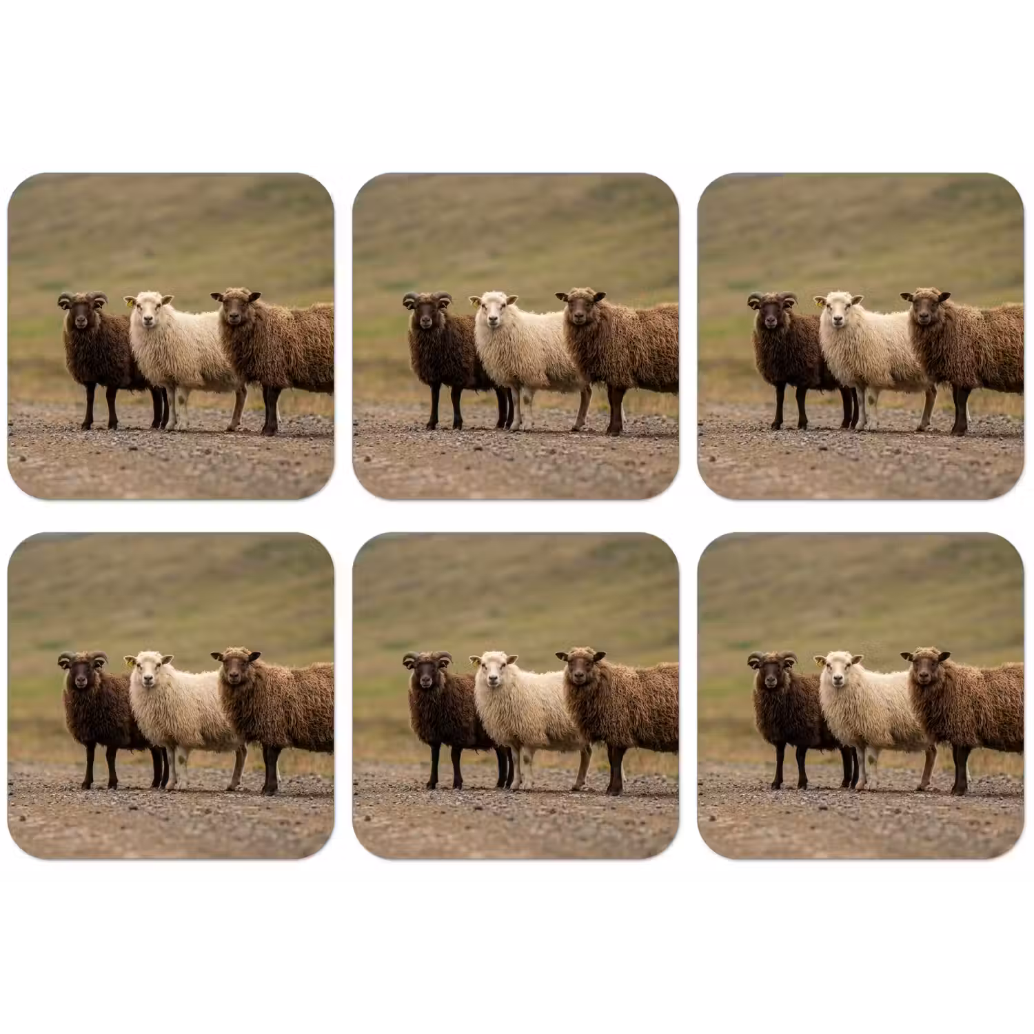 Schapen - Bruin - Wit - Grindpad onderzetter kurk middel -zkaufland3dotto