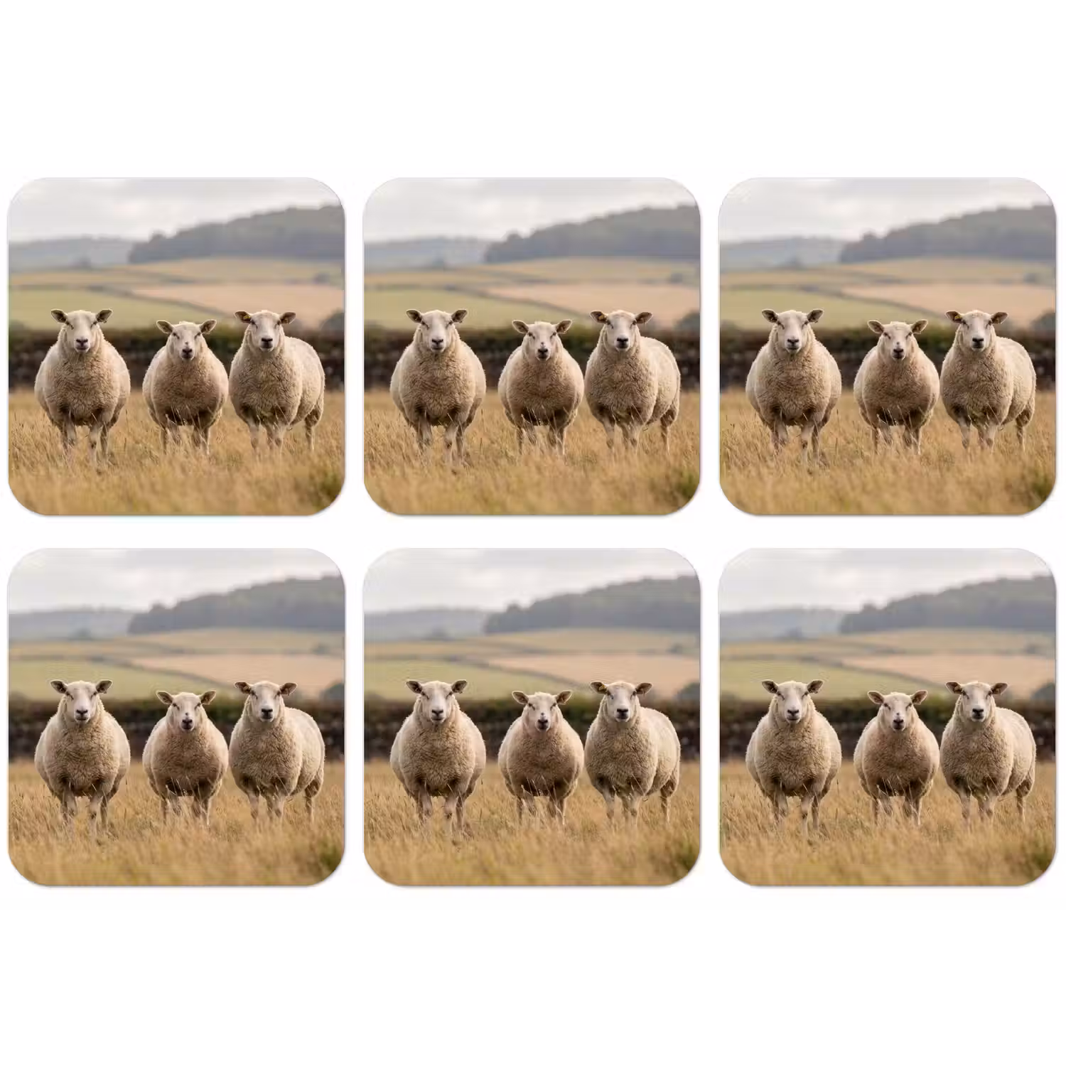 Schapen - Weidenlandschap - Heuvels onderzetter kurk middel -zkaufland3dotto