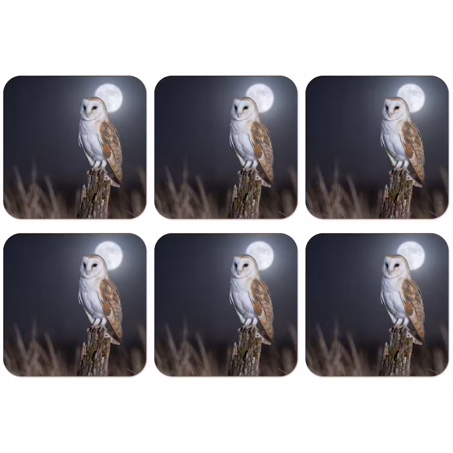 Kerkuil - Maan - Nacht onderzetter kurk middel -zkaufland3dotto