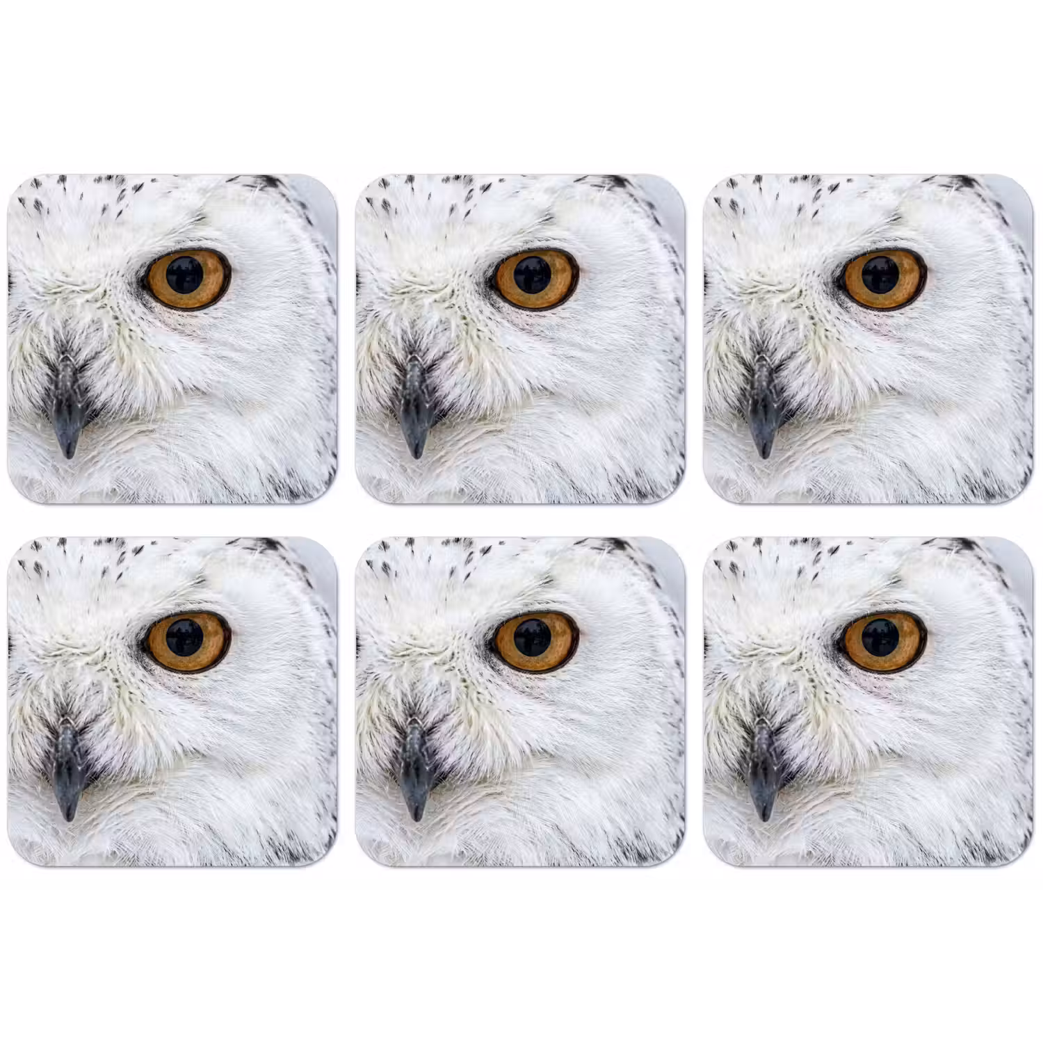Sneeuwuil - Oog - Wildlife - Wit onderzetter kurk middel -zkaufland3dotto