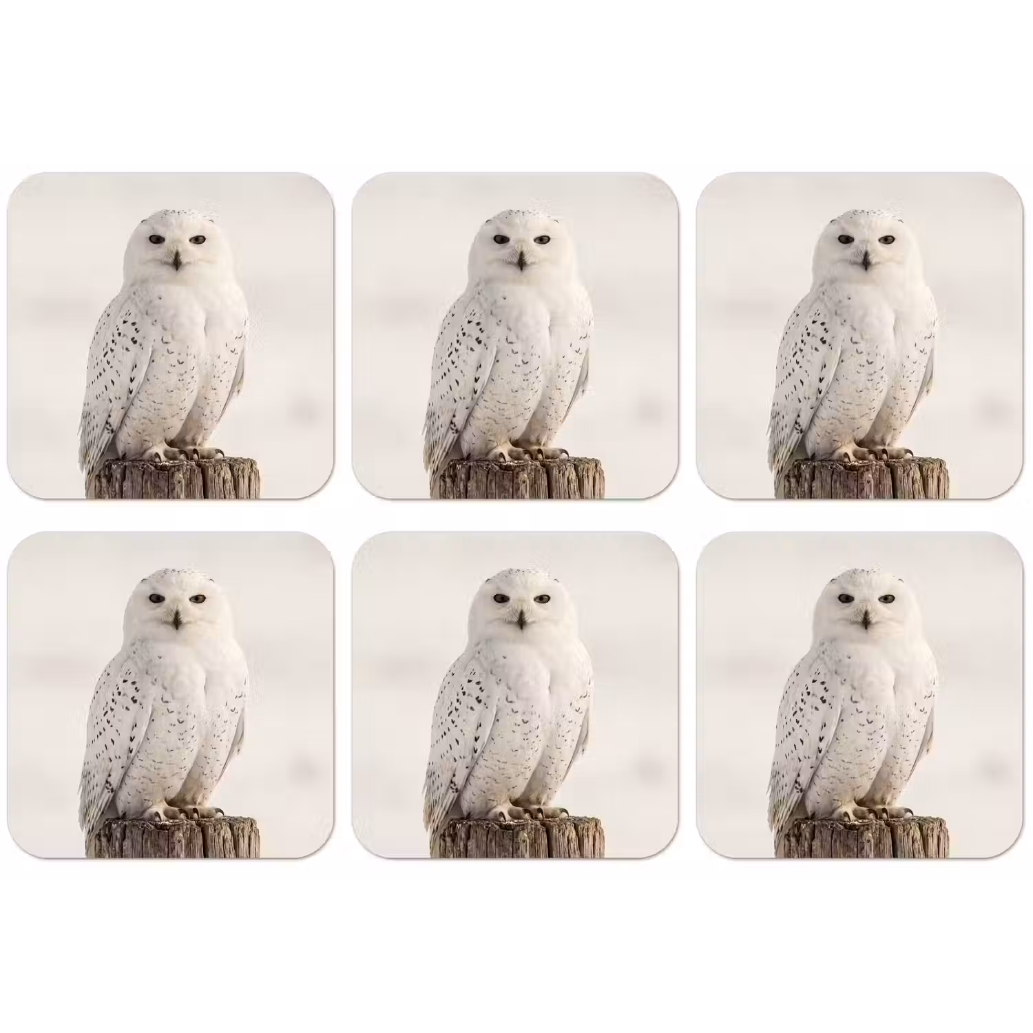 Sneeuwuil - Paal - Winter - Portret - Majestueus onderzetter kurk middel -zkaufland3dotto