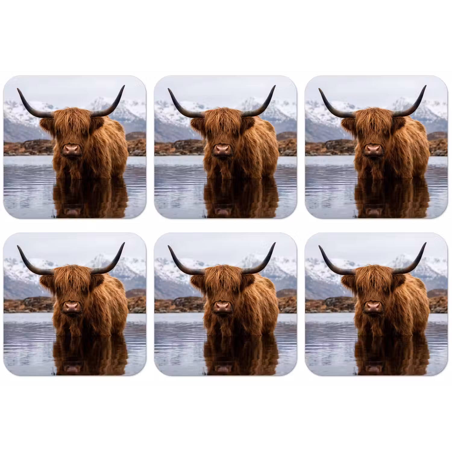 Schotse hooglander - Bruin - Water onderzetter kurk middel -zkaufland3dotto