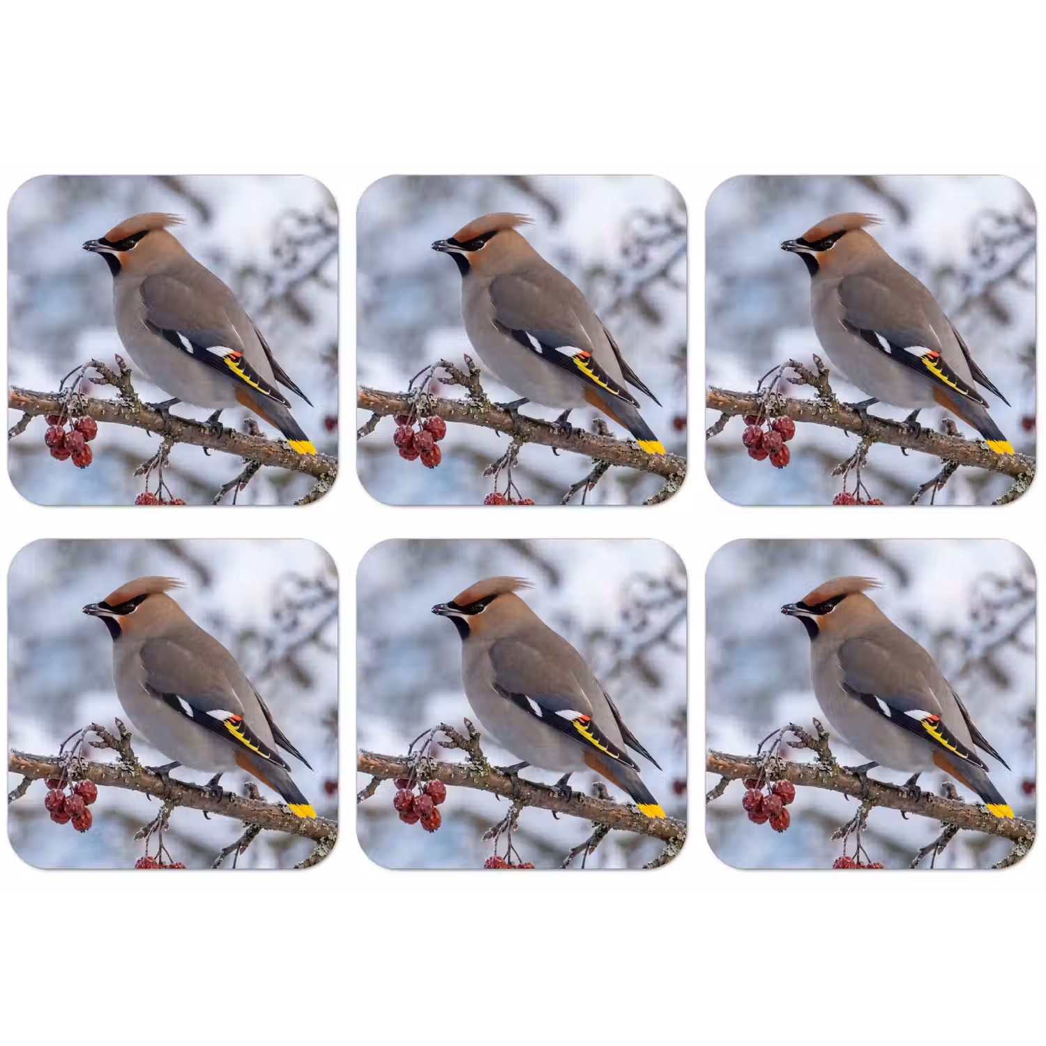 Pestvogel - Bessen - Winter - Natuur onderzetter kurk middel -zkaufland3dotto