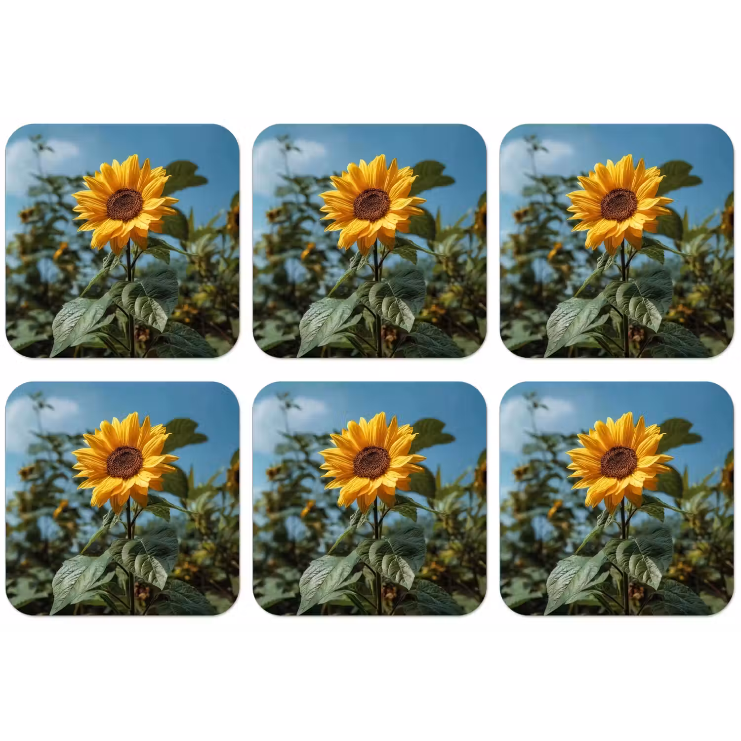 Zonnebloemen - Helderblauwer lucht - Gras onderzetter kurk middel -zkaufland3dotto