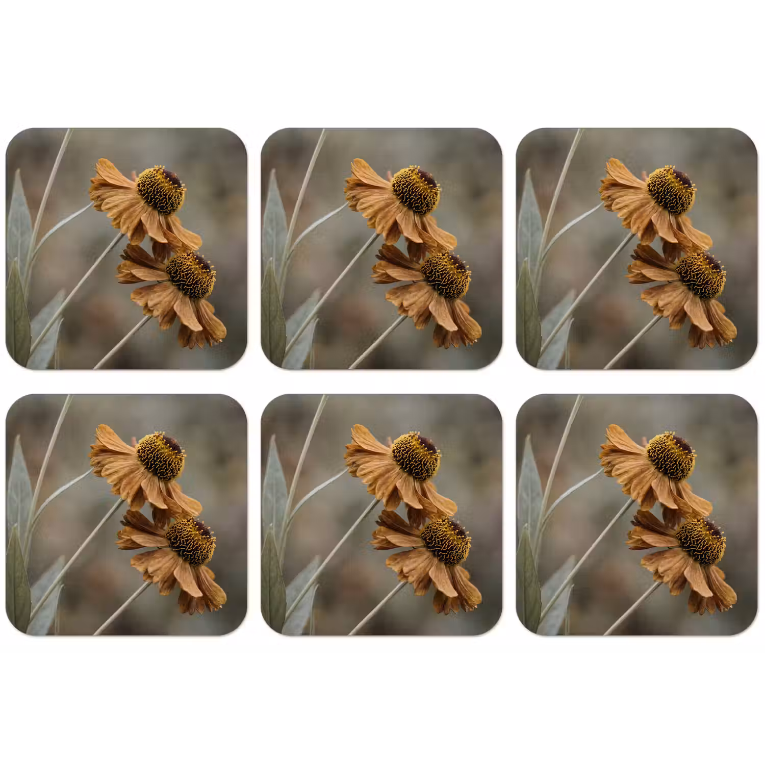 Zonnehoed - Droogbloemen - Geel - Warm onderzetter kurk middel -zkaufland3dotto