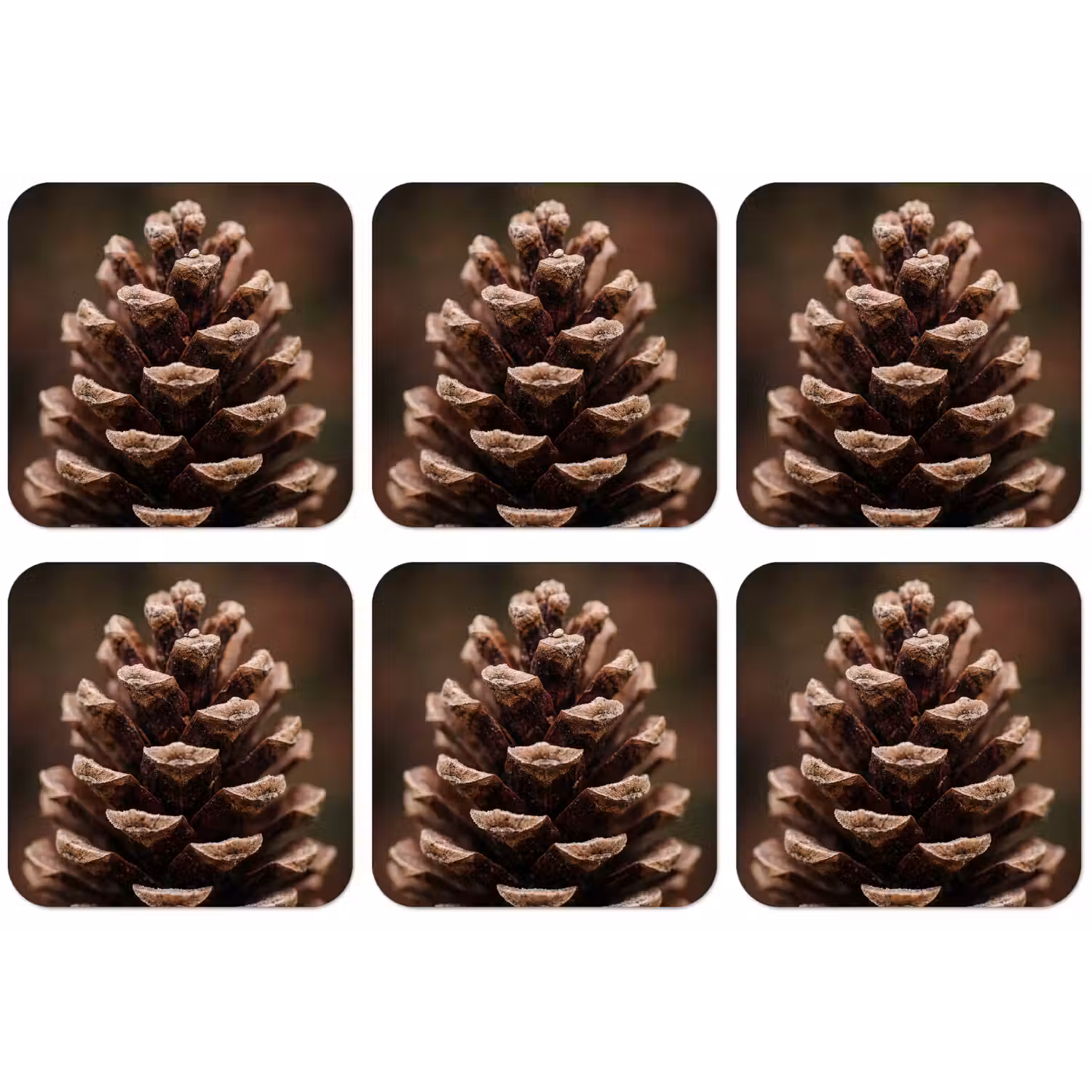 Dennenappel - Bos - Herfst - Bruin - Sfeervol onderzetter kurk middel -zkaufland3dotto