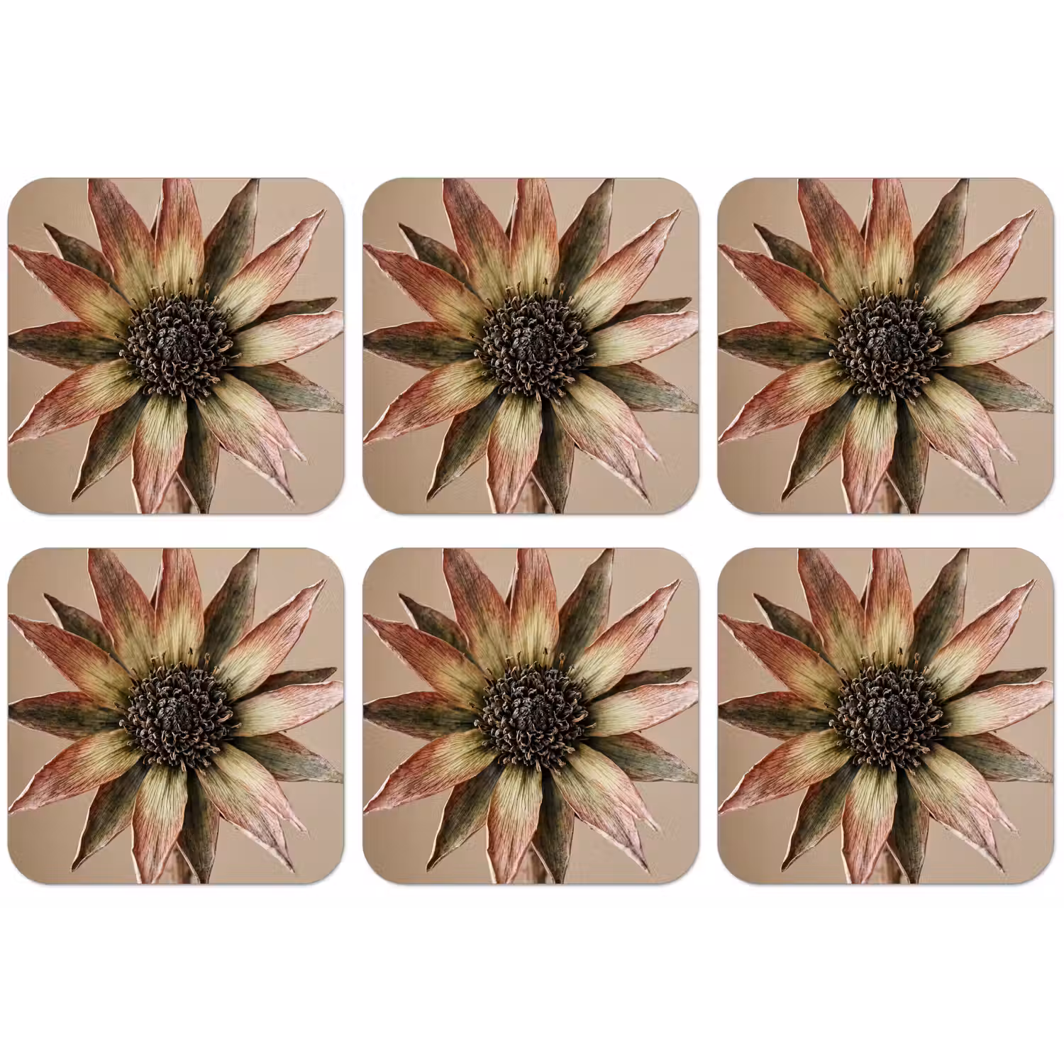 Droogbloem - Protea - Vintage - Beige - Rustiek onderzetter kurk middel -zkaufland3dotto