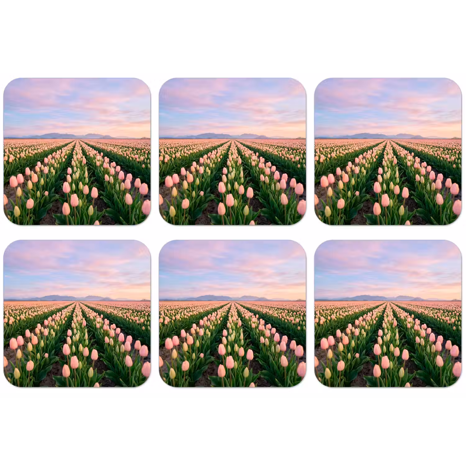 Tulpen - Landschap - Roze onderzetter kurk middel -zkaufland3dotto