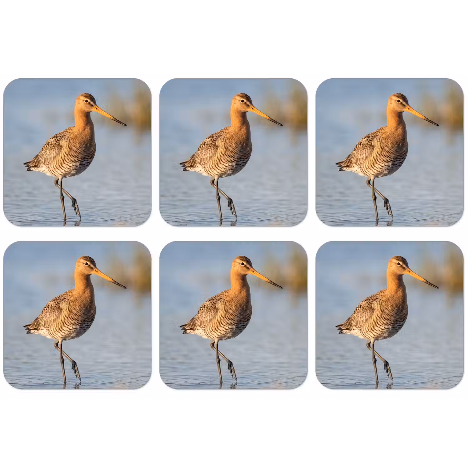 Vogel - Steltloper - Water - Natuur onderzetter kurk middel -zkaufland3dotto