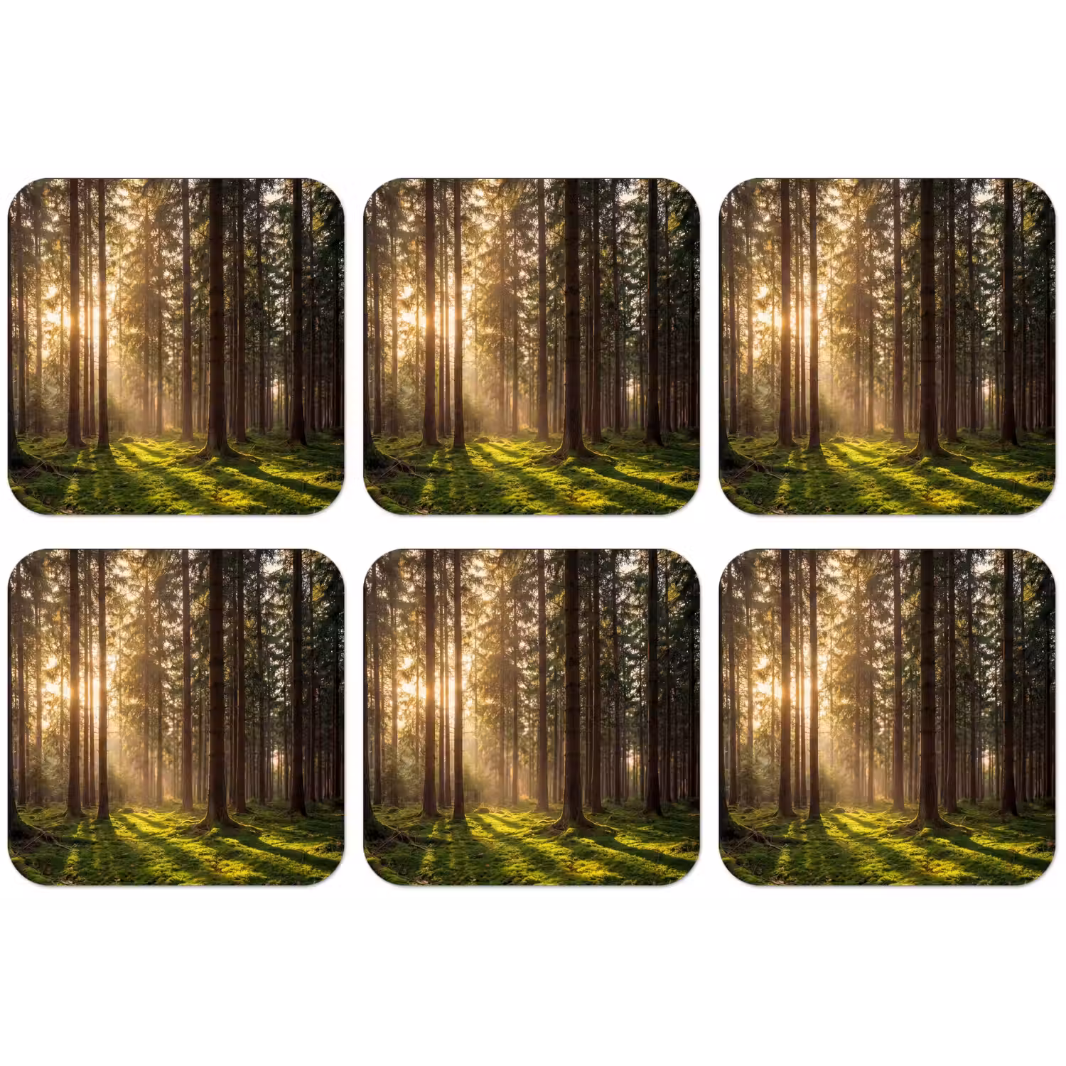 Bos - Gras - Zonlicht onderzetter kurk middel -zkaufland3dotto