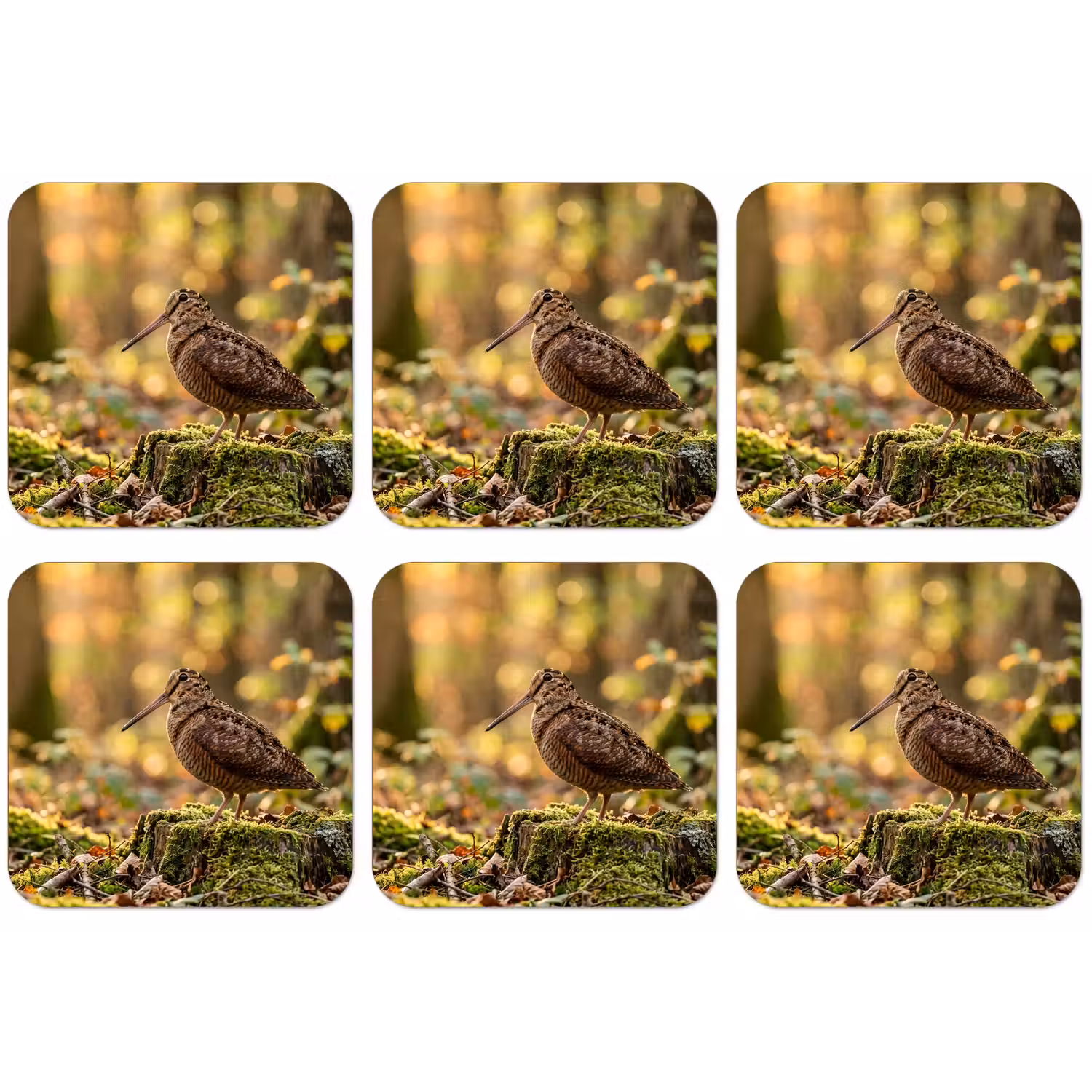 Houtsnip - Bos - Bladeren - Herfst - Gecamoufleerd onderzetter kurk middel -zkaufland3dotto