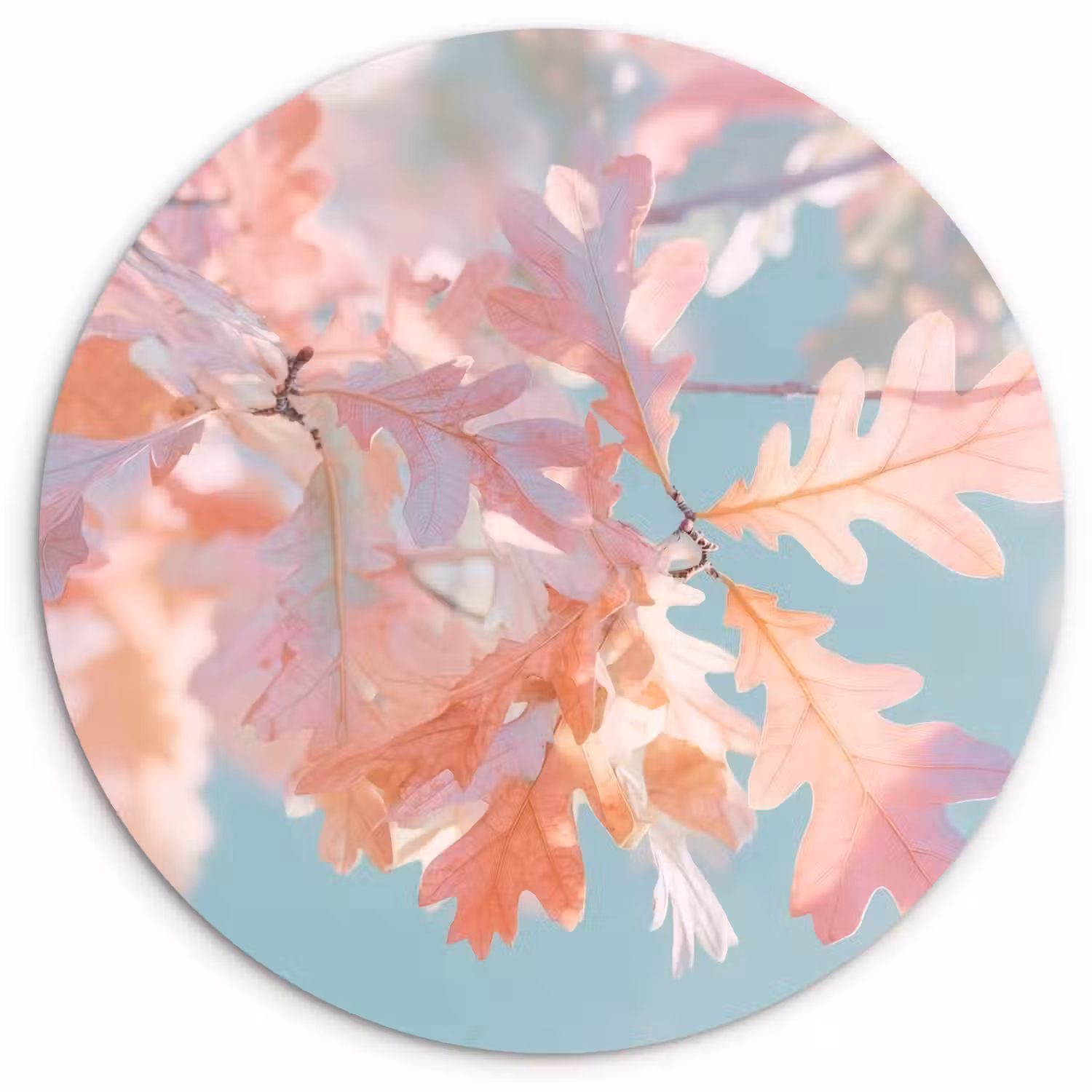 Eikenbladeren - Takken - Roze Wandcirkel plexiglas klein -3d