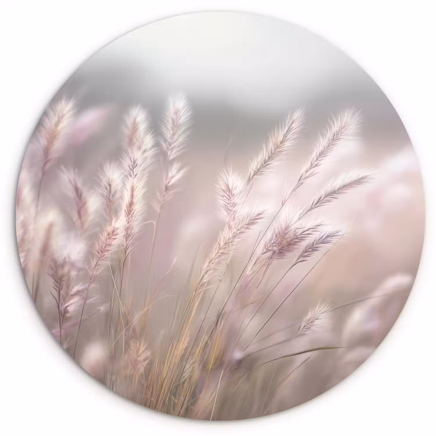 Graspluimen - Wind - Beige - Mistig Wandcirkel plexiglas klein -3d