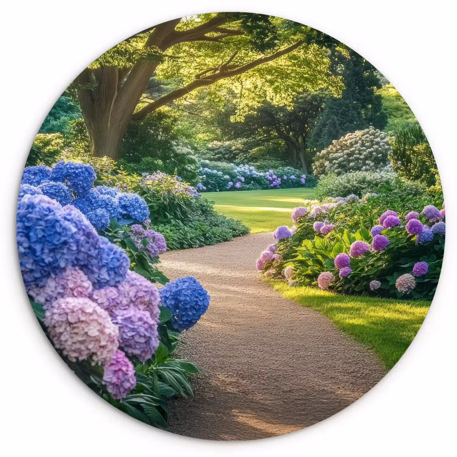Hortensia- Park - Pad Wandcirkel plexiglas klein -3d
