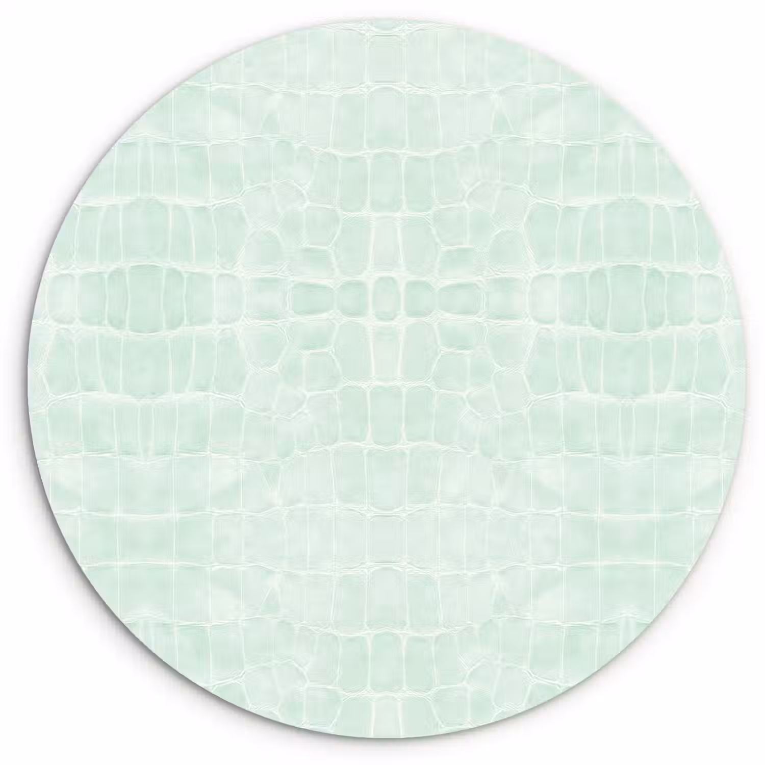 Krokodil - Leer - Lichtgroen Wandcirkel plexiglas klein 852 -3d